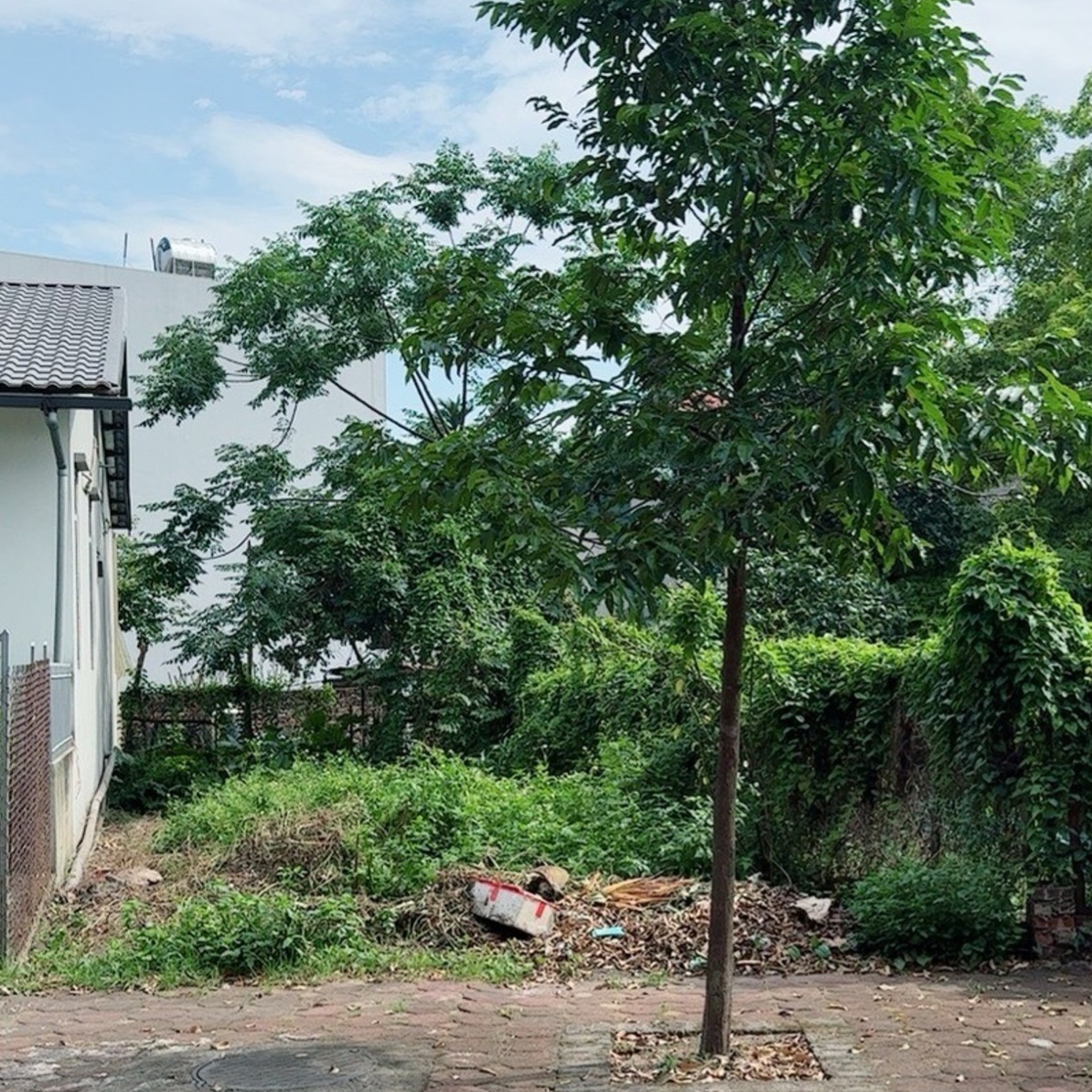 Bán đất mặt tiền 5m tại xã Ỷ Lan, diện tích 87m², pháp lý cơ sở
