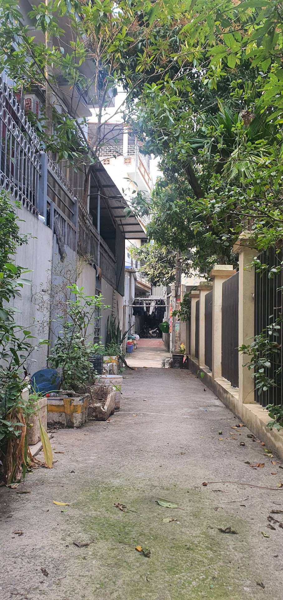 Đất Vàng Trung Tâm Văn Giang, Sổ Đỏ Chính Chủ