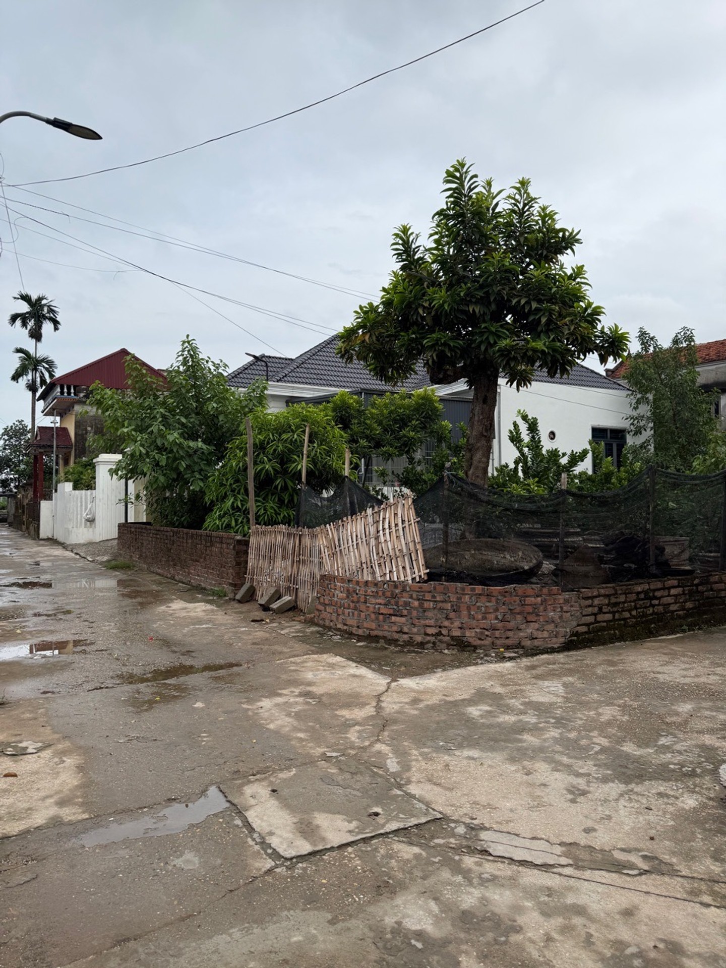 Bán đất 71m2 phi liệt văn giang