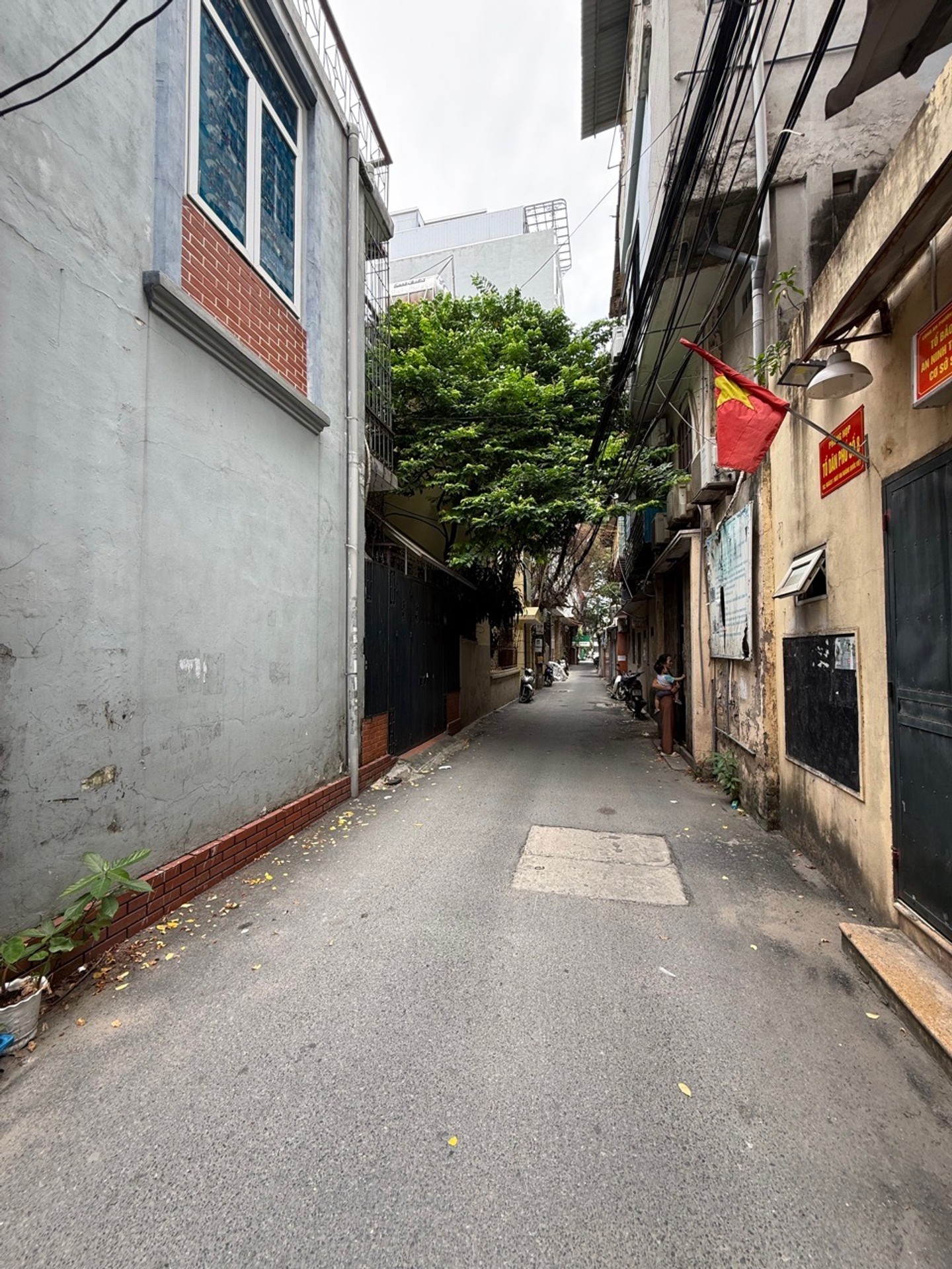 Bán nhà riêng hai mặt ngõ trung tâm Hoàng Quốc Việt, diện tích 116.3 m²