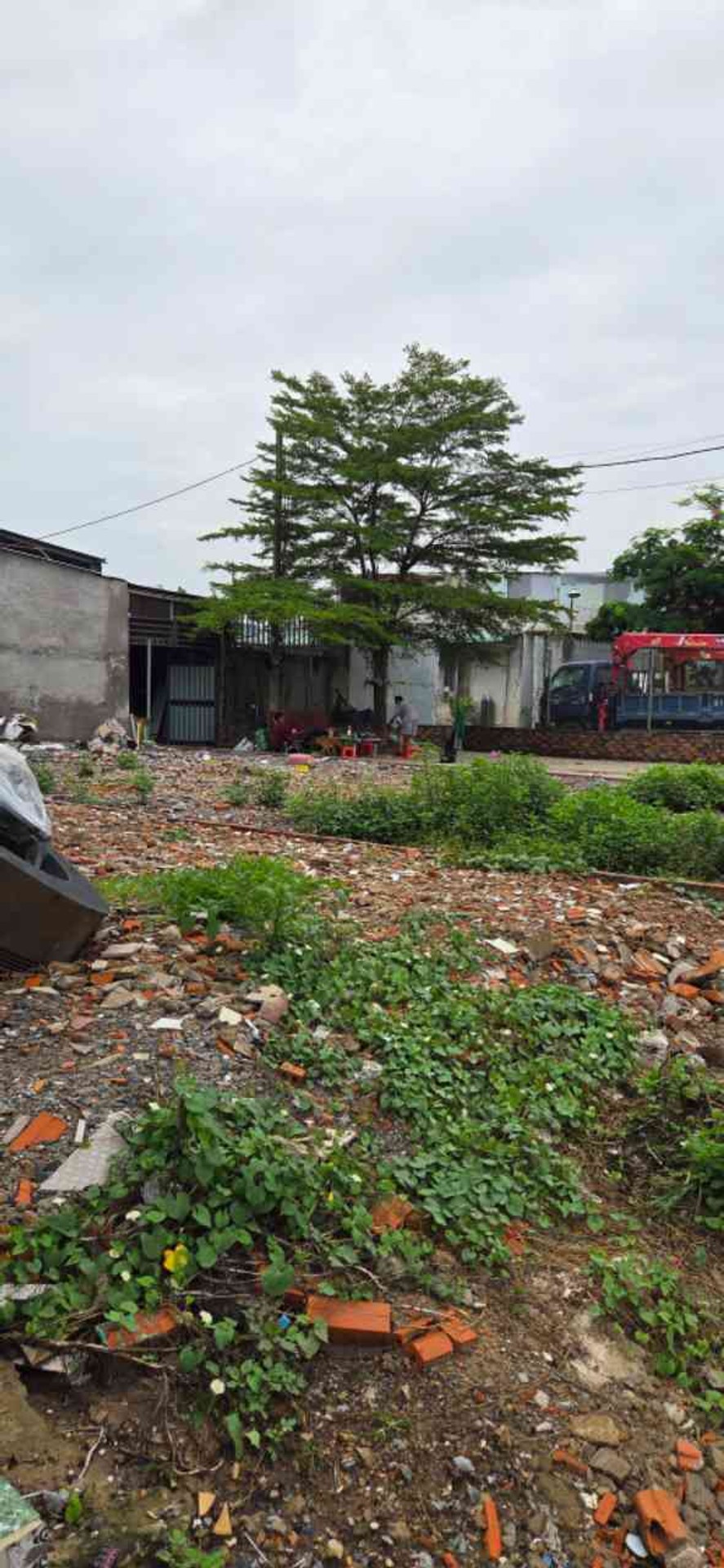 Cơ hội sở hữu đất thổ cư Bình Tân, vị trí vàng, giá tốt chỉ 4,2 tỷ