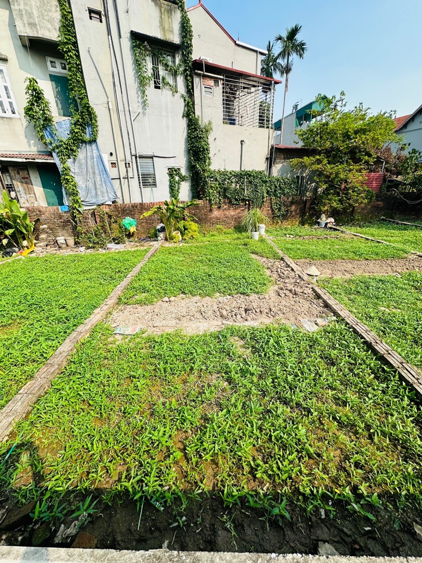 Bán đất 45,9m2 tại trung tâm Đa Tốn, Gia Lâm, ô tô vào tận nơi
