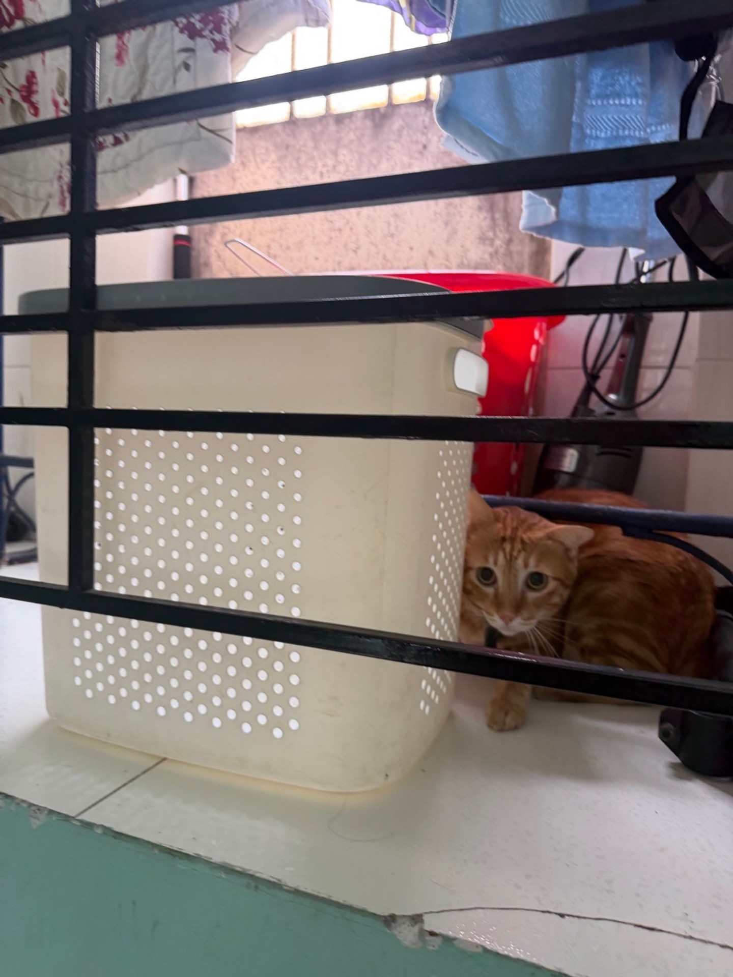 Bán nhà riêng 2 tầng tại Hậu Giang, diện tích gần 97m2, pháp lý đầy đủ