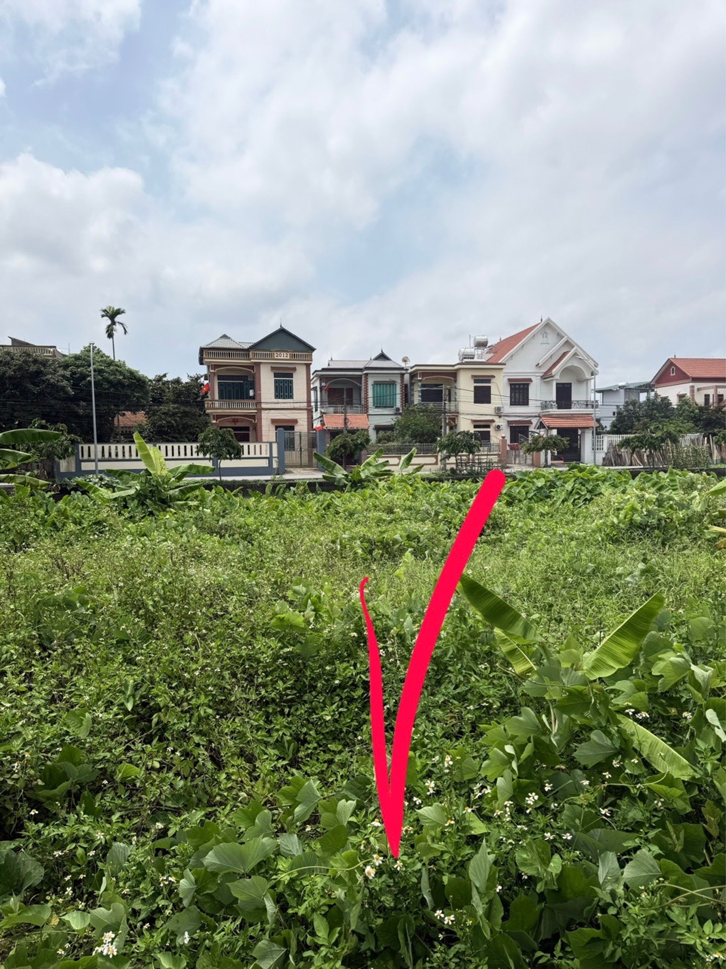 Bán đất khu phố Bùi Xá, Ninh Xá, Bắc Ninh, diện tích 78,3m2, mặt tiền 6,4m, pháp lý cơ sở