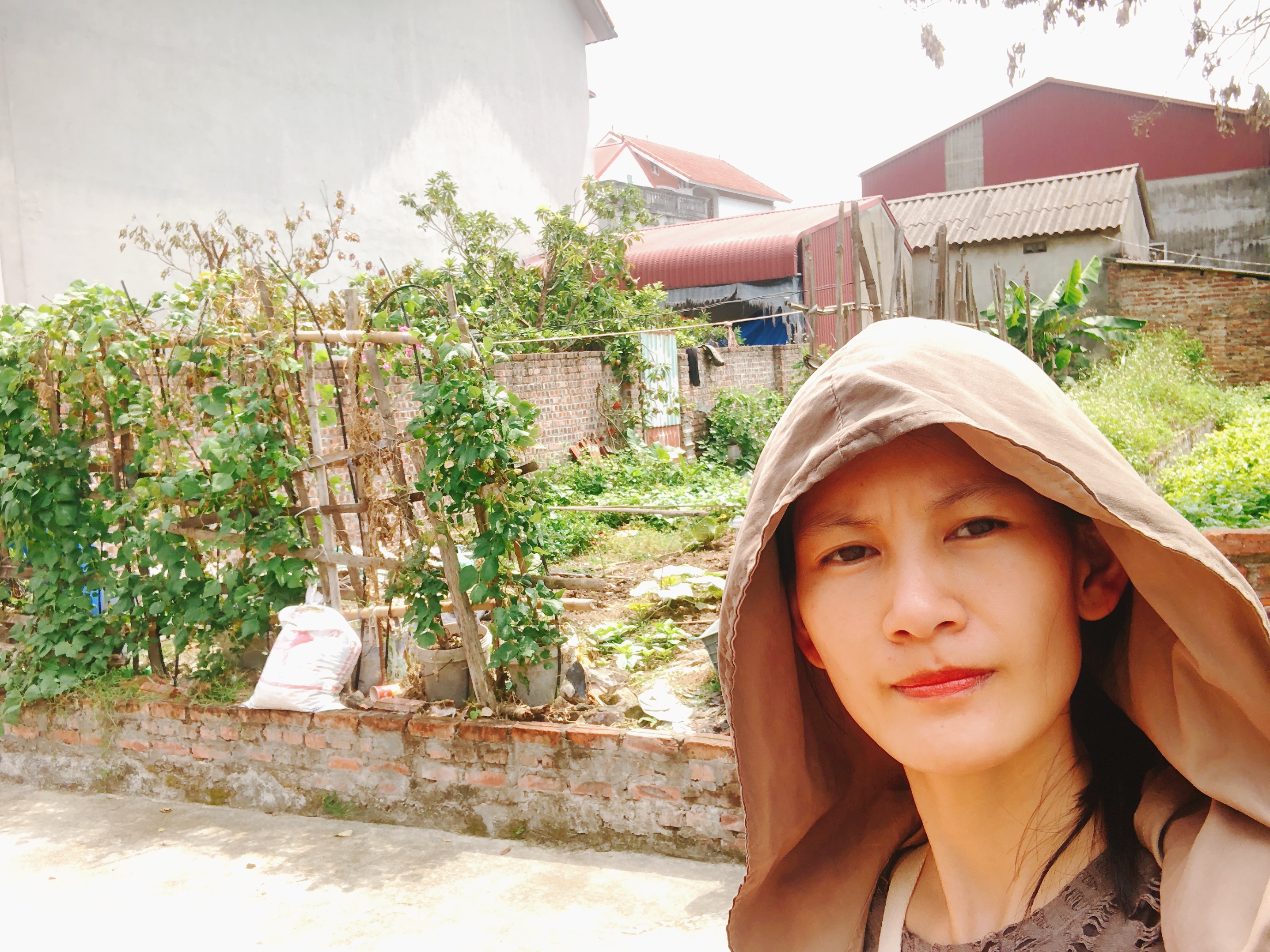 🔆Bán đất Mai Nội - Sóc Sơn 98.8m2 ô tô tải vào đất gần các cụm CN và sân bay Nội Bài