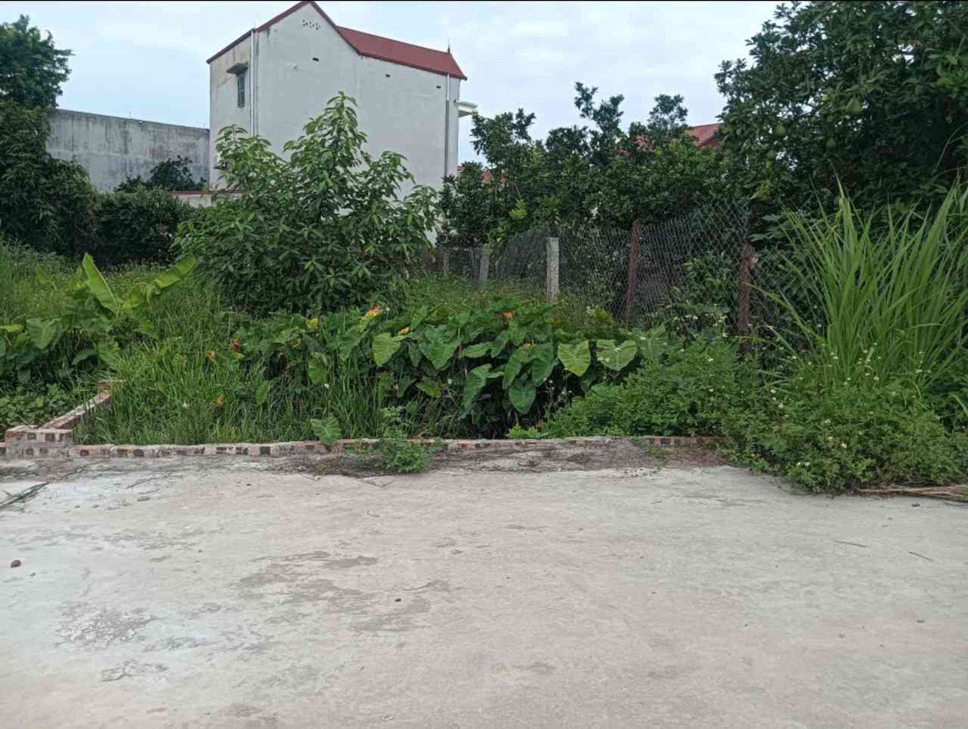 Bán đất Quang Tiến, Sóc Sơn - Gần Sân Bay, Khu Công Nghiệp Nội Bài - Chỉ 1,15 tỷ đồng