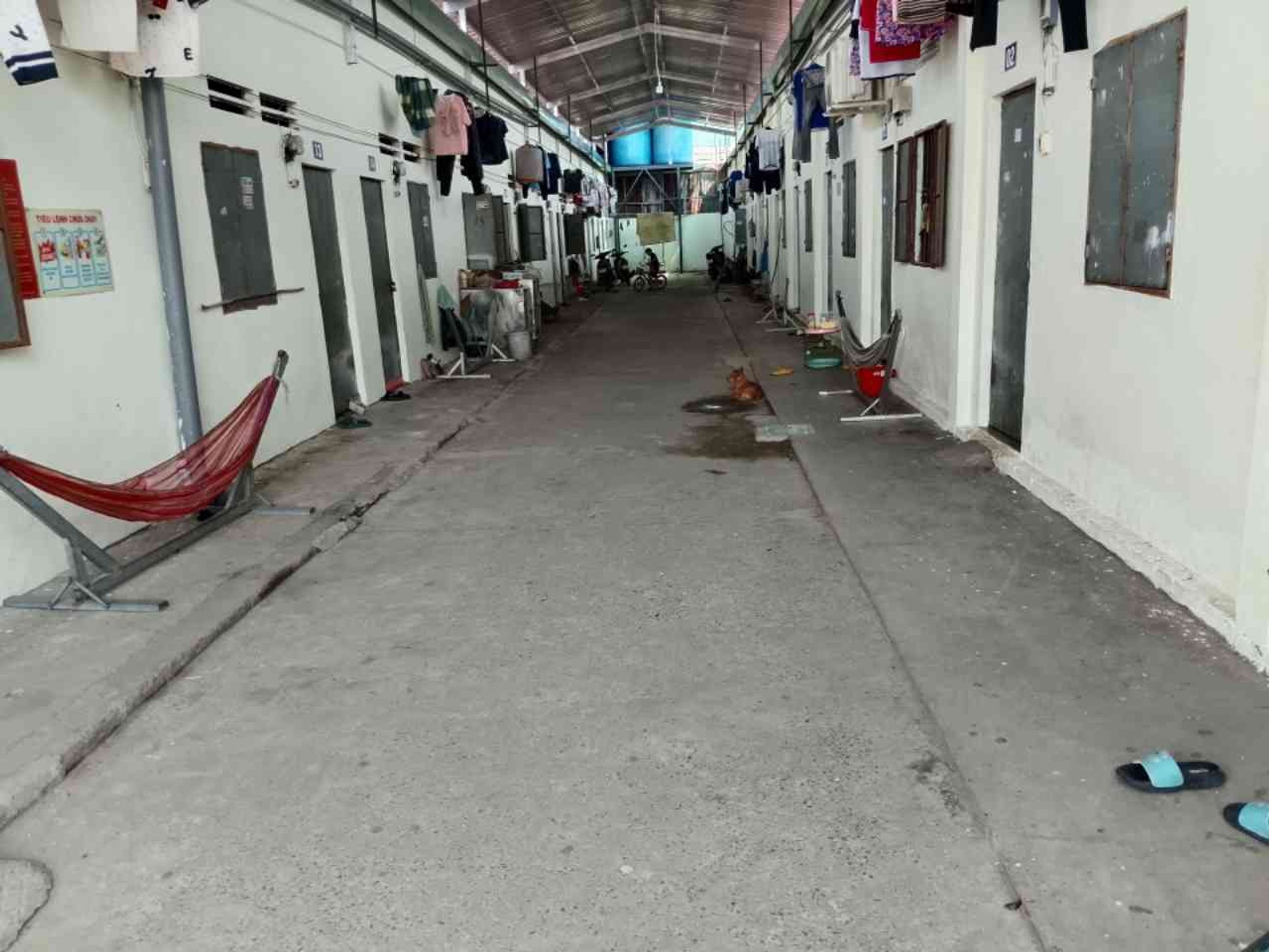 Bán đất mặt tiền Hội Nghĩa 88 Phường Bình Cơ diện tích 700m² pháp lý rõ ràng