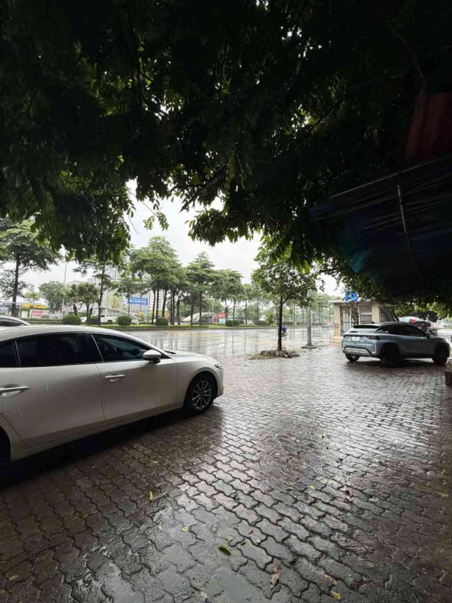 Cơ hội sở hữu nhà đẹp 5 tầng tại khu vực phát triển sầm uất Long Biên