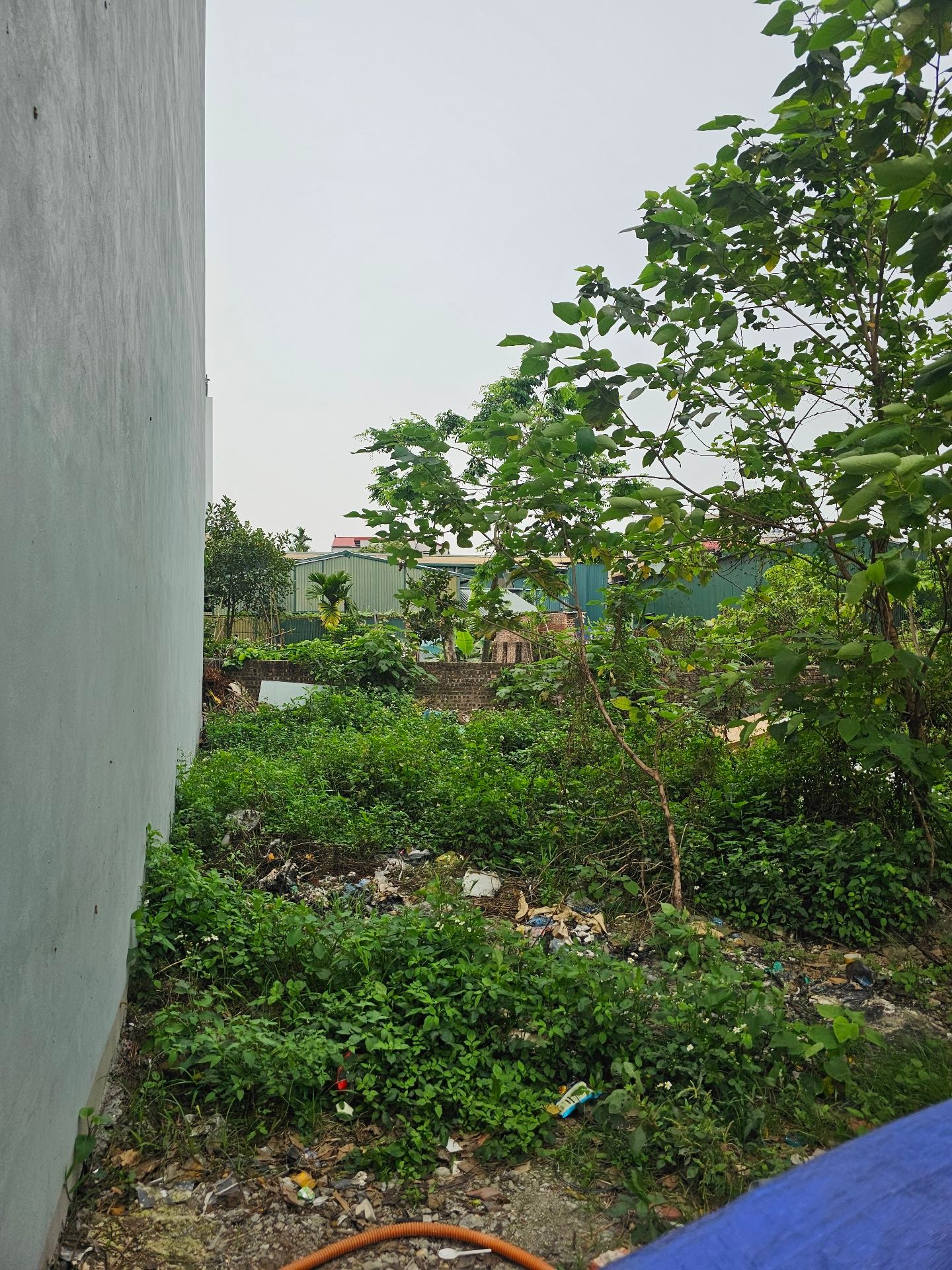 Bán đất khu đấu giá thôn Tương Chúc, xã Nam Phù, vị trí đắc địa giao thông thuận tiện
