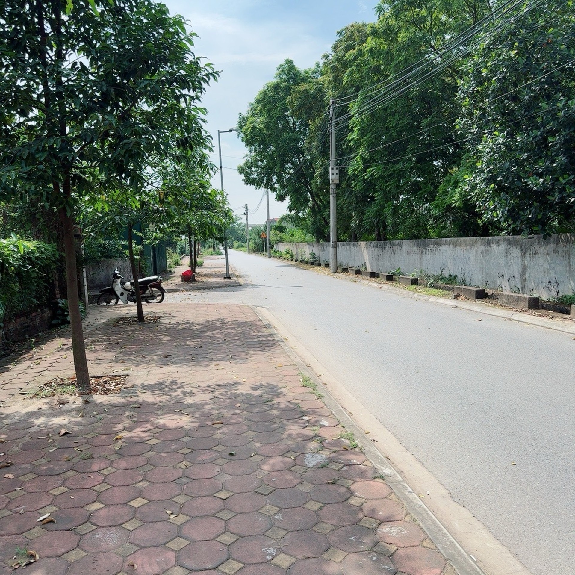 Đất đẹp cắt lỗ