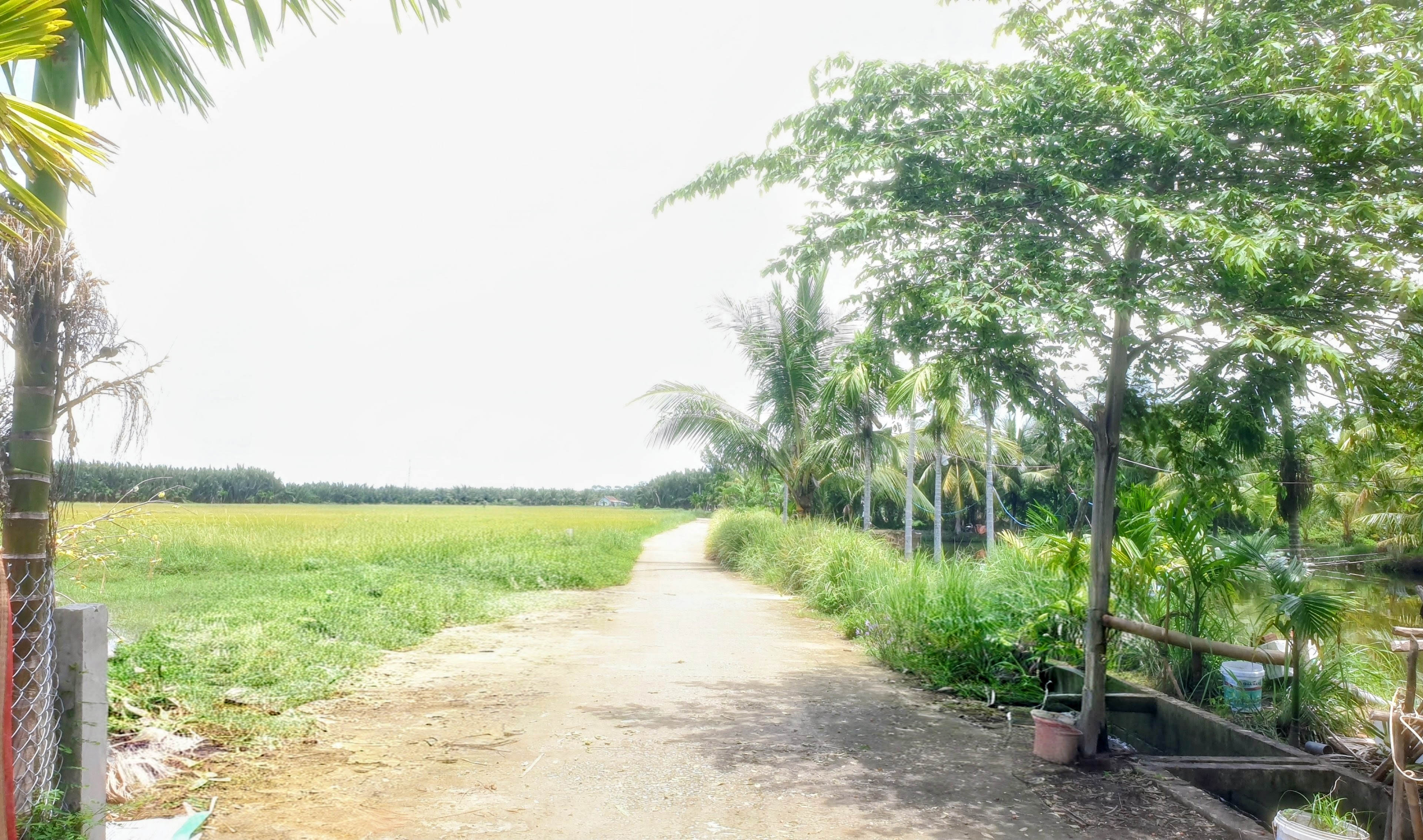 Bán Căn Nhà 268.7m.Cạnh Hồ Tôm,Bên Cánh Đồng Lúa Xanh Mát.Tọa Lạc Cẩm Thanh.Hội An.