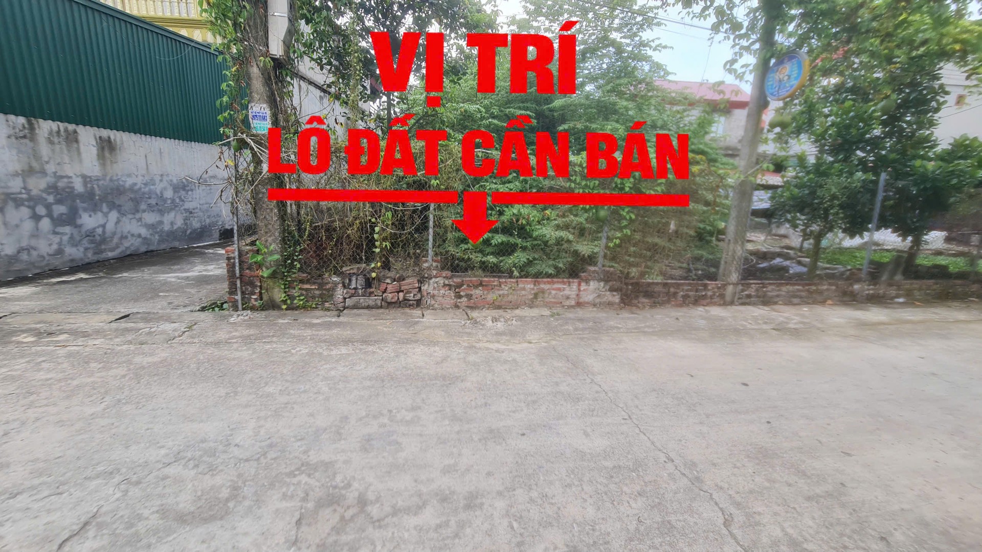 Bán đất lô góc mặt ngõ ô tô phường Ninh Xá, TP Bắc Ninh