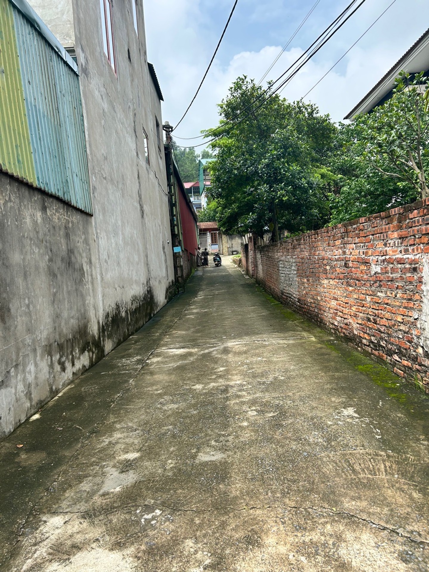 Cơ hội hiếm có sở hữu đất mặt tiền ô tô vào ngay tại Phật Tích, Bắc Ninh