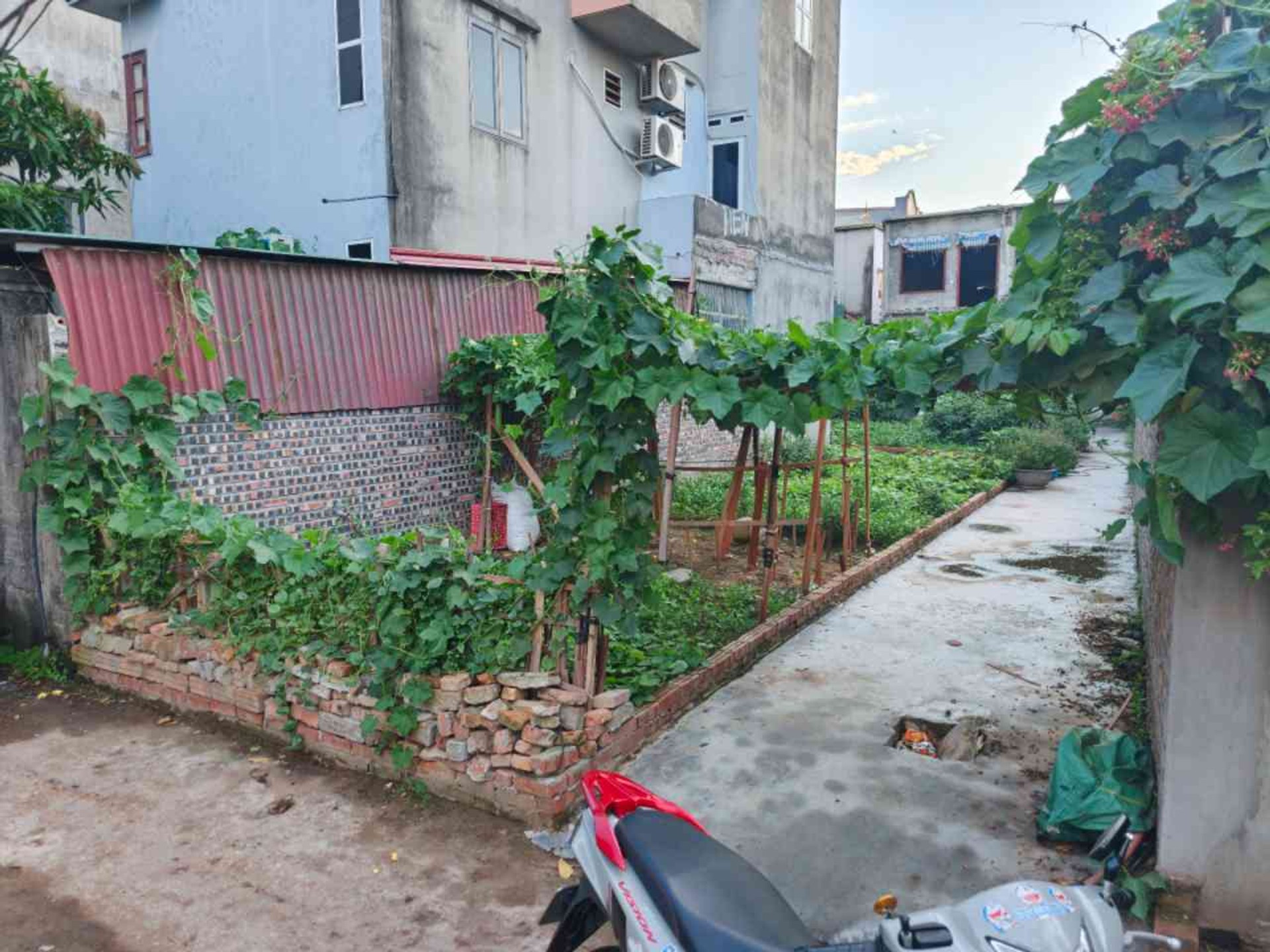 Bán đất nền diện tích 46,2m² tại Phố Giếng, Từ Sơn, mặt tiền rộng 5,7m