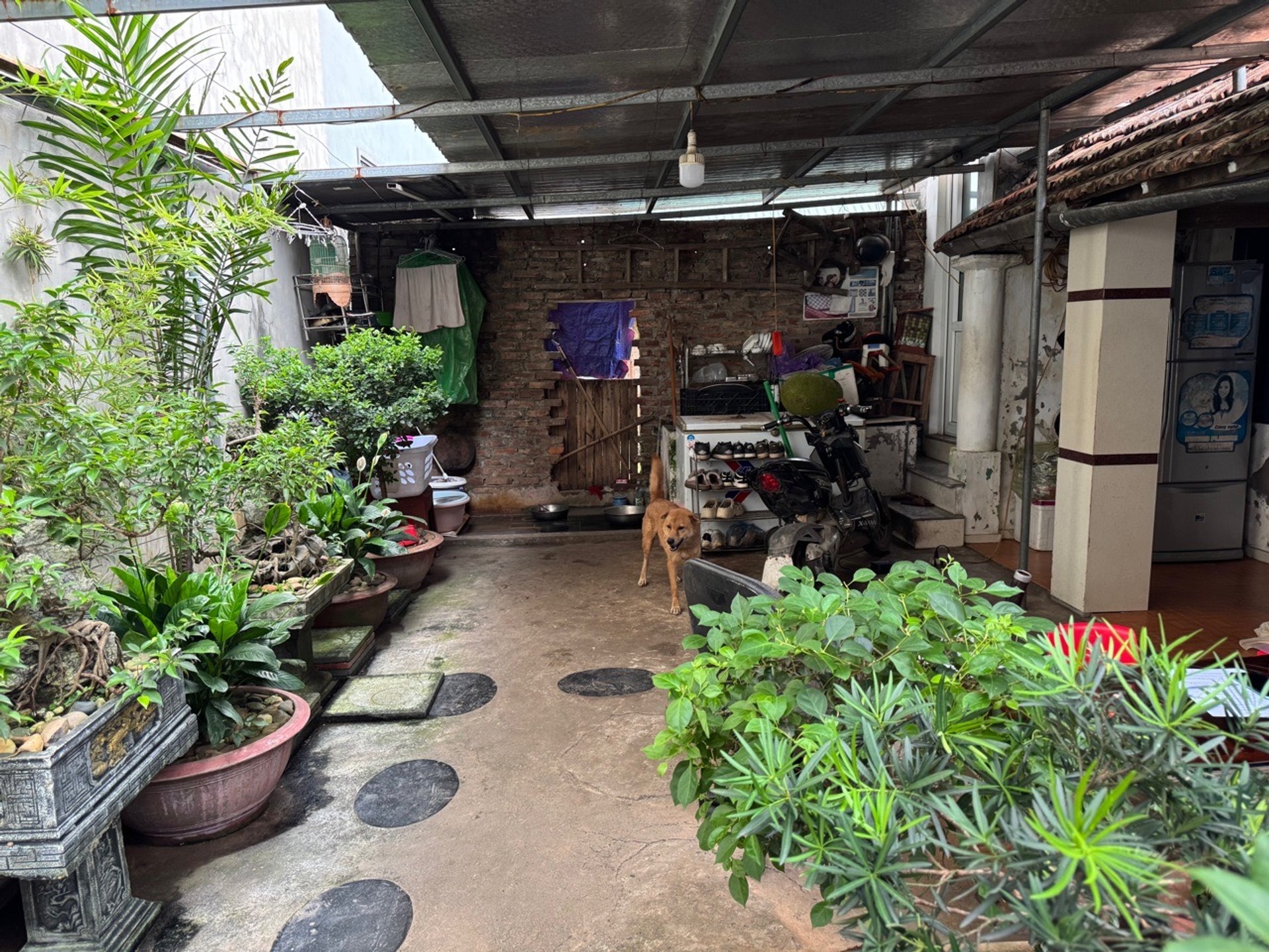 Đất cực đẹp 82m2 - giá mềm đầu tư hoặc ở tại Trung Kiên, p. Tây Tựu
