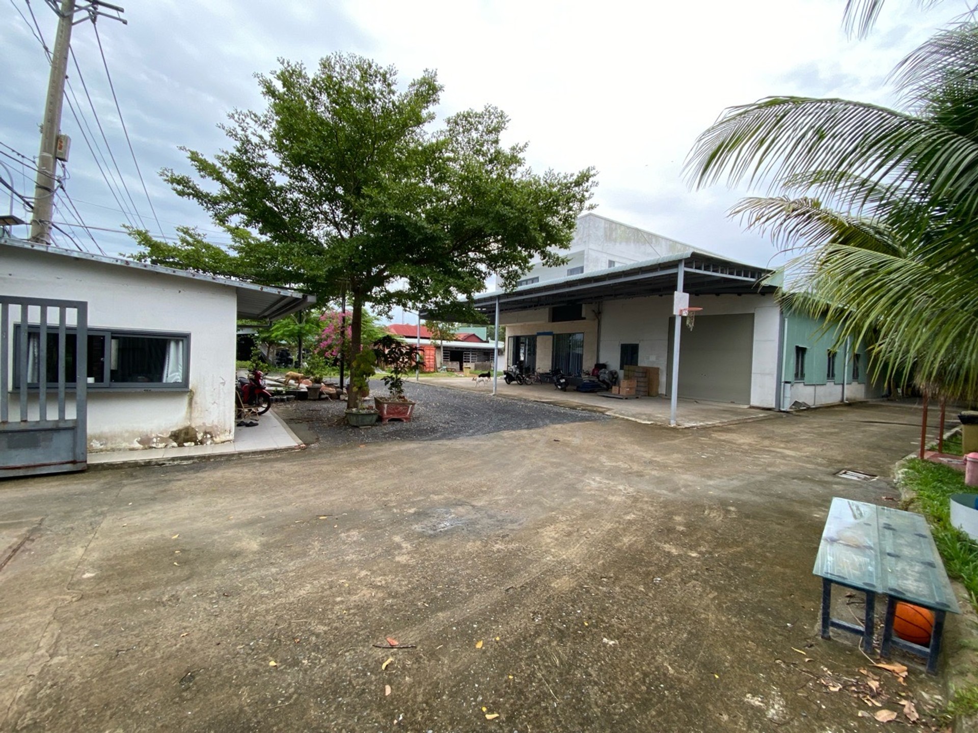 Bán nhà mặt phố tại phường Đặng Công Bỉnh, mặt tiền 65m, diện tích 3342m2, pháp lý rõ ràng