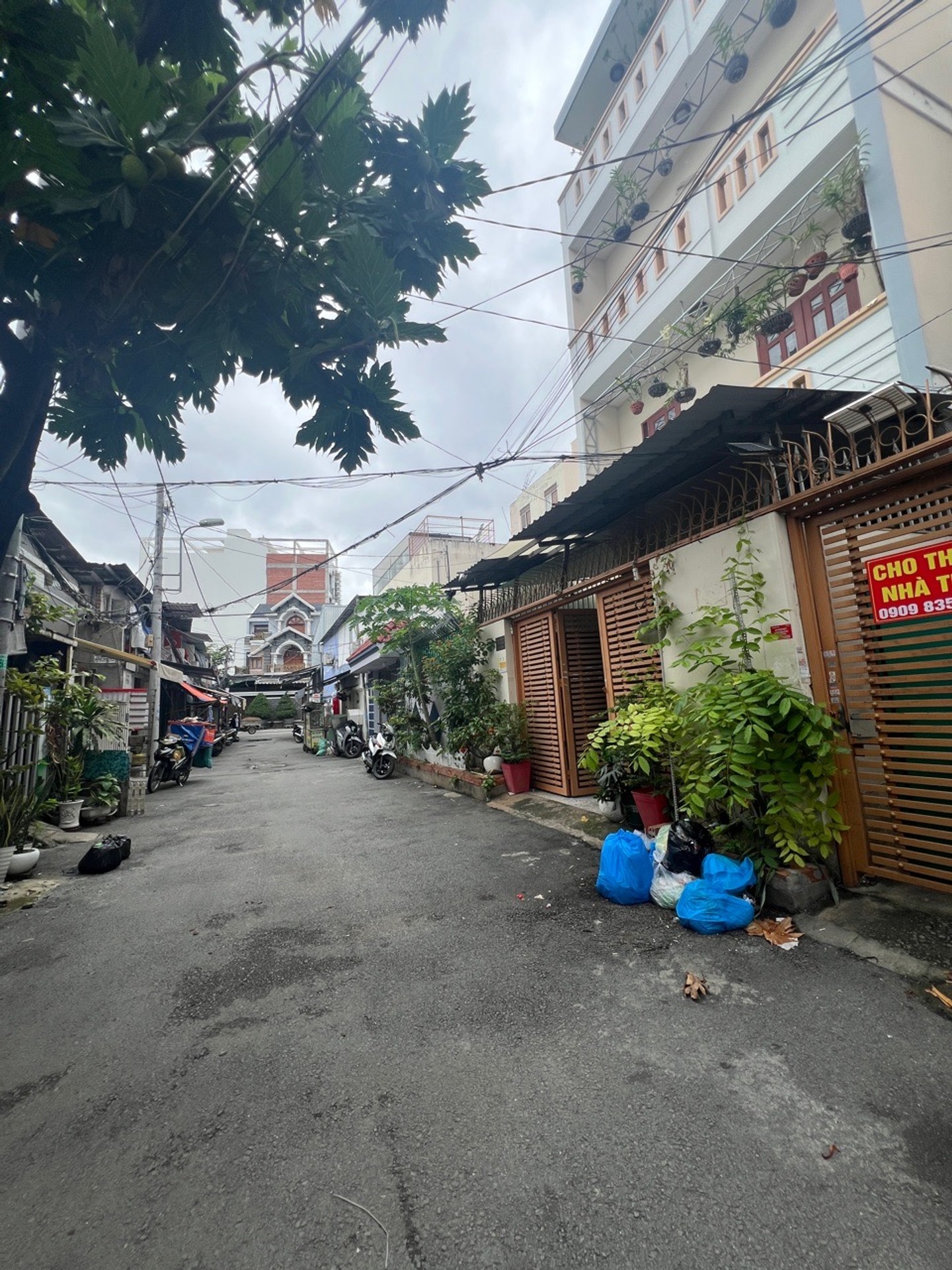 Nhà riêng mặt tiền rộng trần xuân soạn giữa lòng quận 7 đẳng cấp tinh tế