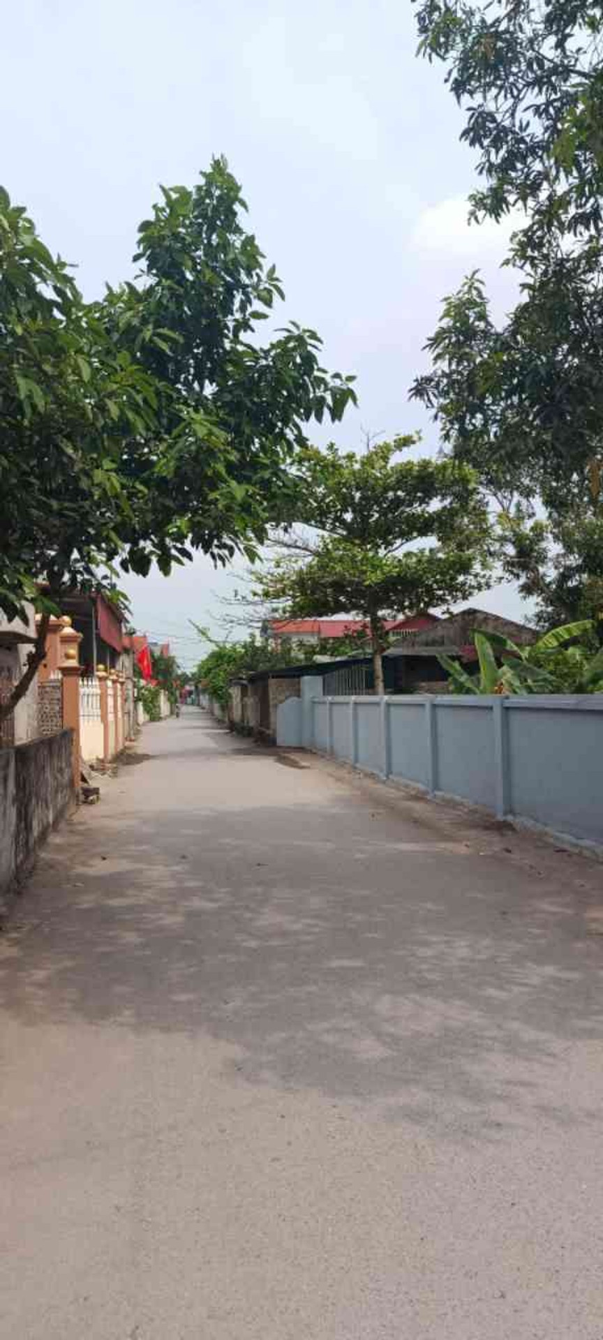 Mảnh đất 71 mét vuông thôn an tàu xã Cương chính nay thuộc xã Tiên Hoa hưng Yên