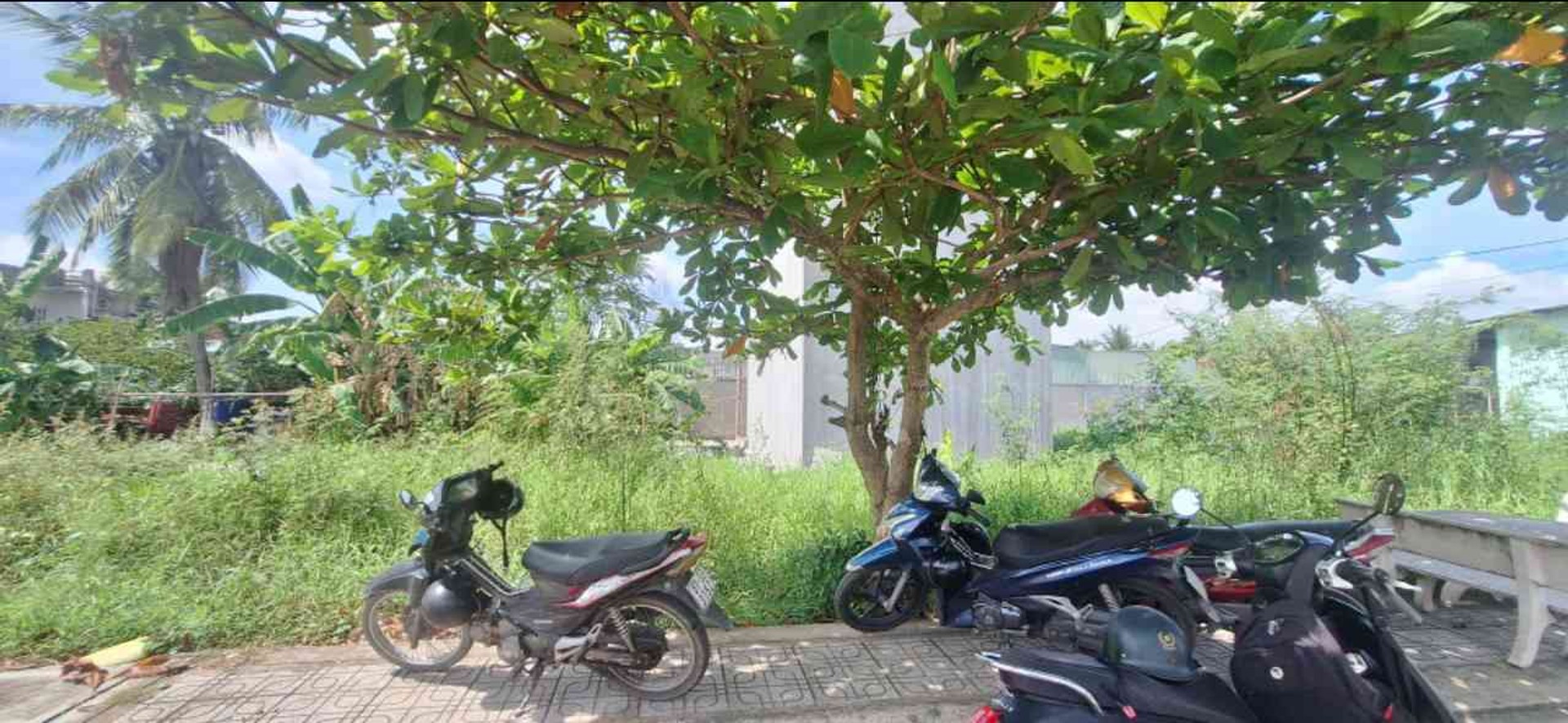 Bán đất 50m² phường Long Phước giá 2,5 tỷ chính chủ