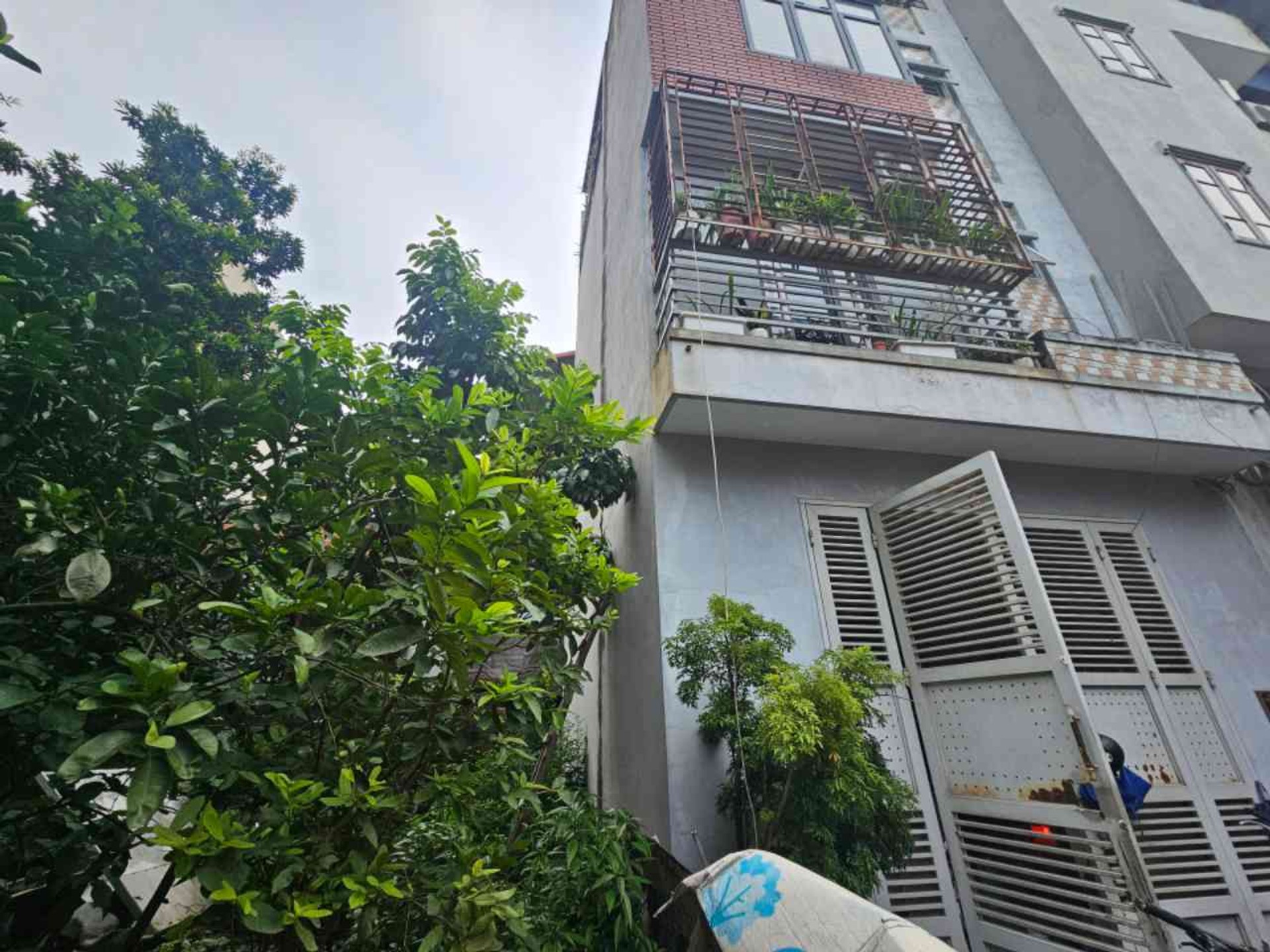 Bán đất sổ đỏ, giá mềm tại Ngọc Trục, sử dụng diện tích rộng 40m²