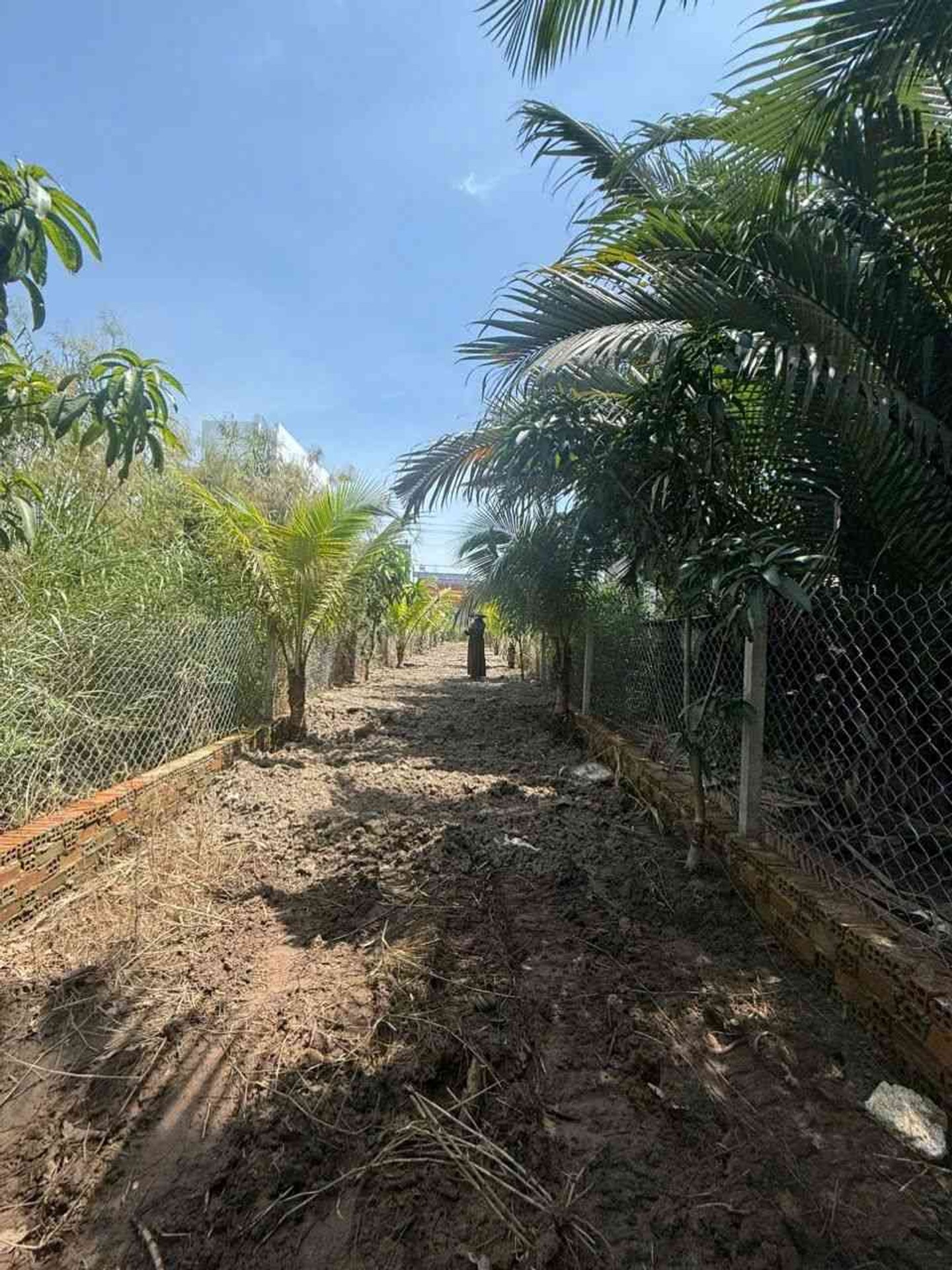 Bán đất 200m2 tại Phường Long Phước, Quận 9, TP HCM giá 4.49 tỷ