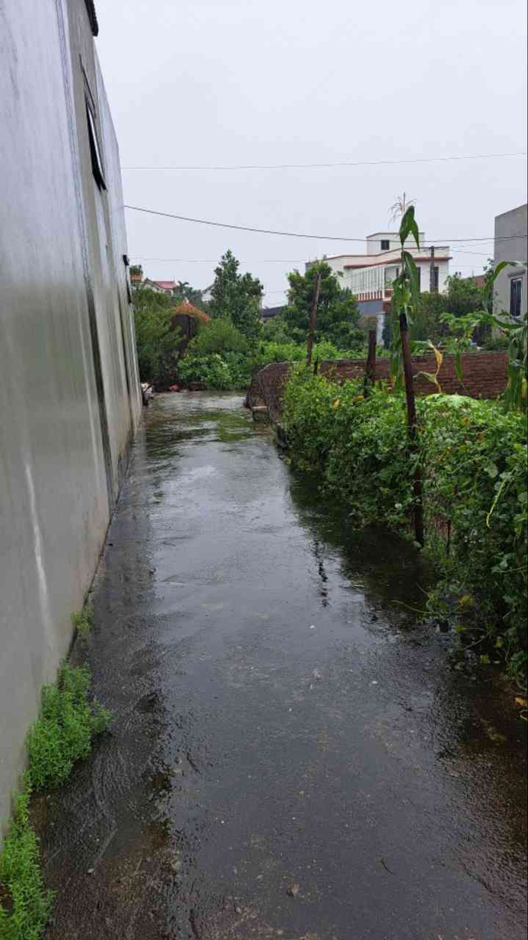 Bán đất lô góc 120m2 tại Liên Nghĩa, Văn Giang, Hưng Yên