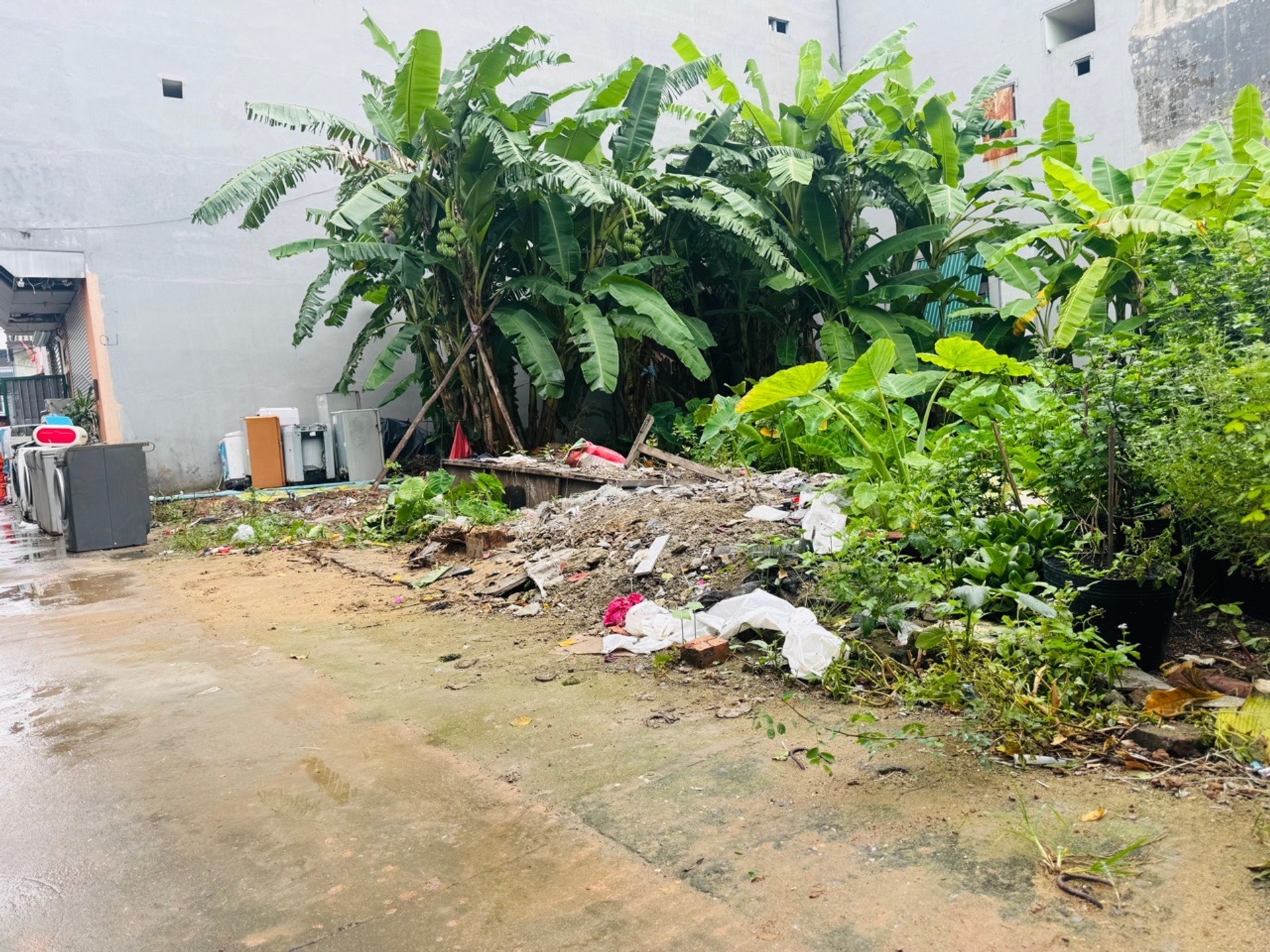 🏡 Chính chủ bán lô đất đẹp tại Yên Phong, Bắc Ninh – Giá tốt đầu tư