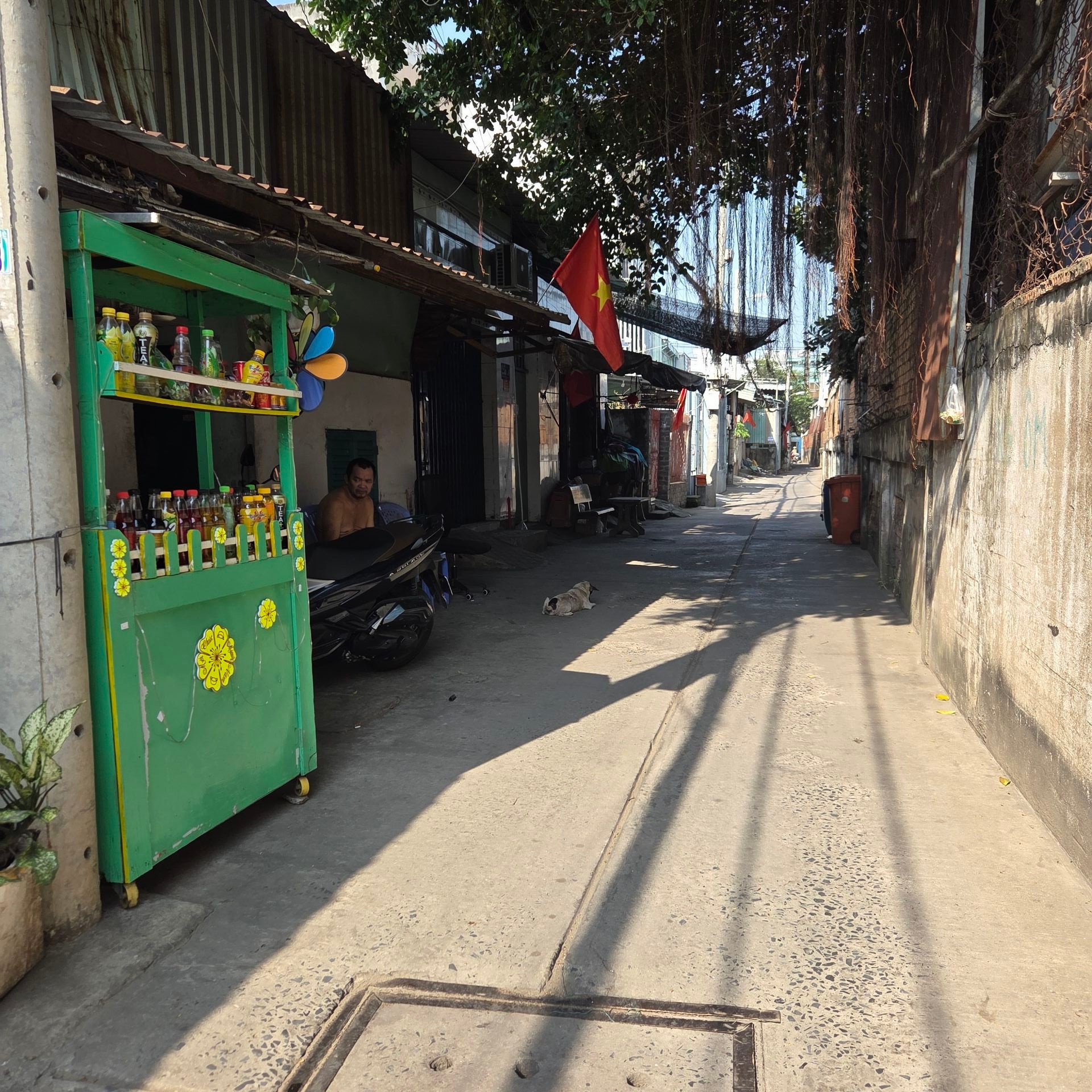 Bán nhà Hồ Học Lãm dạng dãy nhà trọ 12 phòng tại An Lạc, Bình Tân, diện tích 168m2