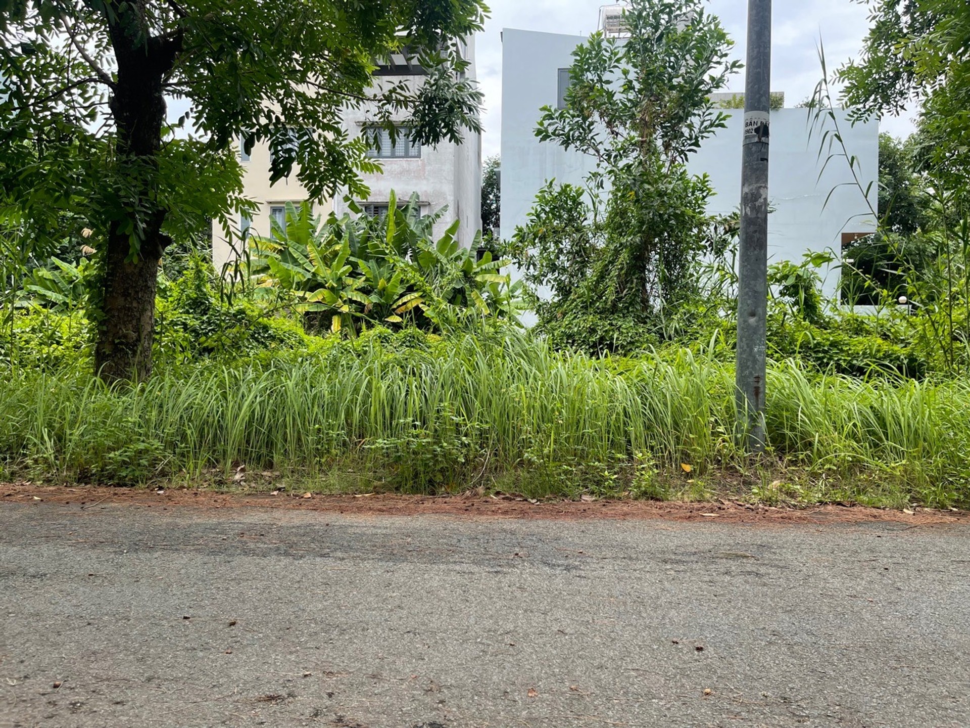 Bán đất 95.4m2 tại Phong Phú, Bình Chánh 0948769331