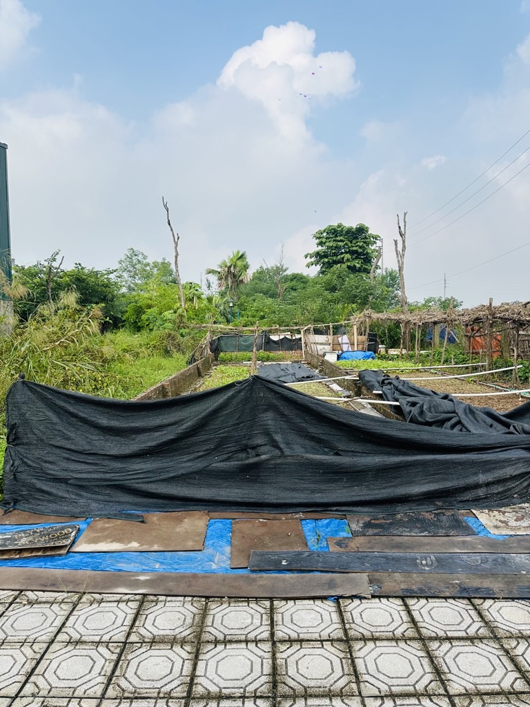 Bán lô đất 60m² vị trí đẹp tại khu dịch vụ 25.2ha Vân Canh, thuận tiện giao thông