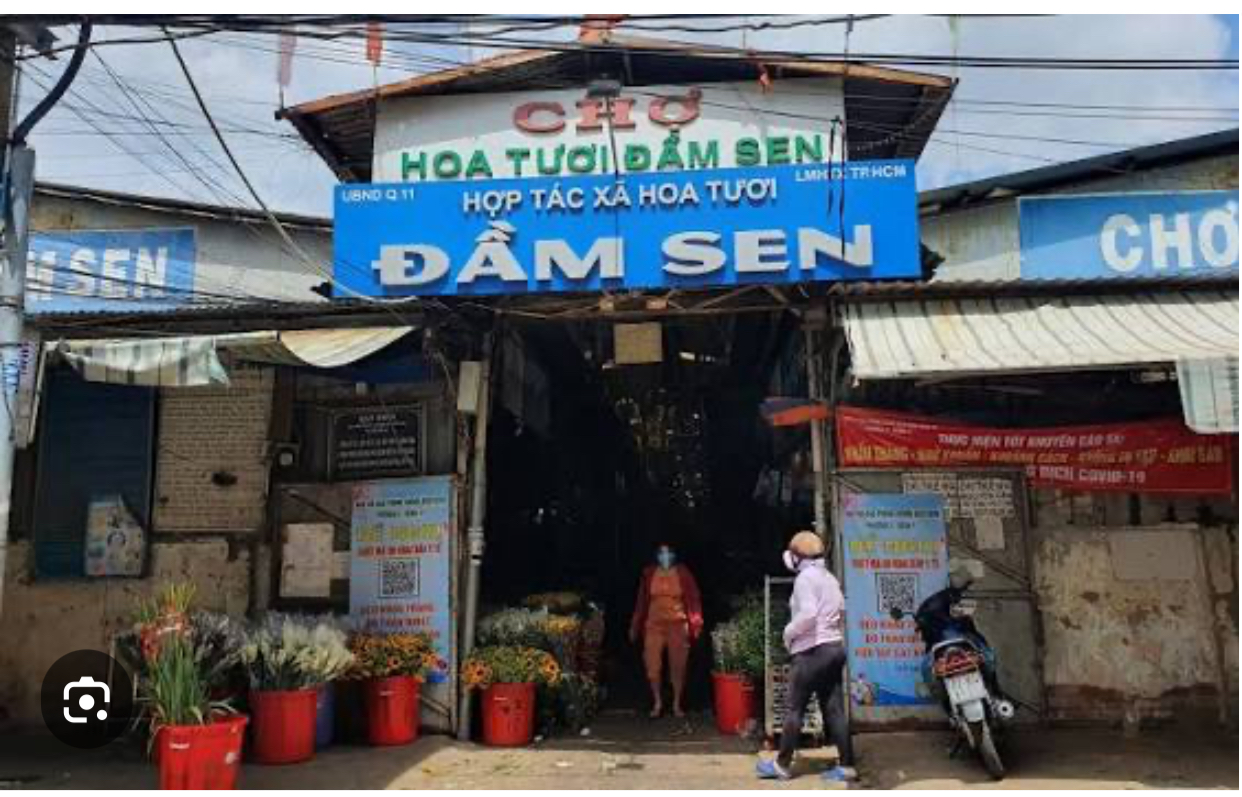 B.án Nh.à gần chợ hoa Đầm Sen - THCS Lê Quý Đôn - DT: 40m2 - Hẻm 6m thông - nhỉnh 3 tỉ - 2 tầng
ZL