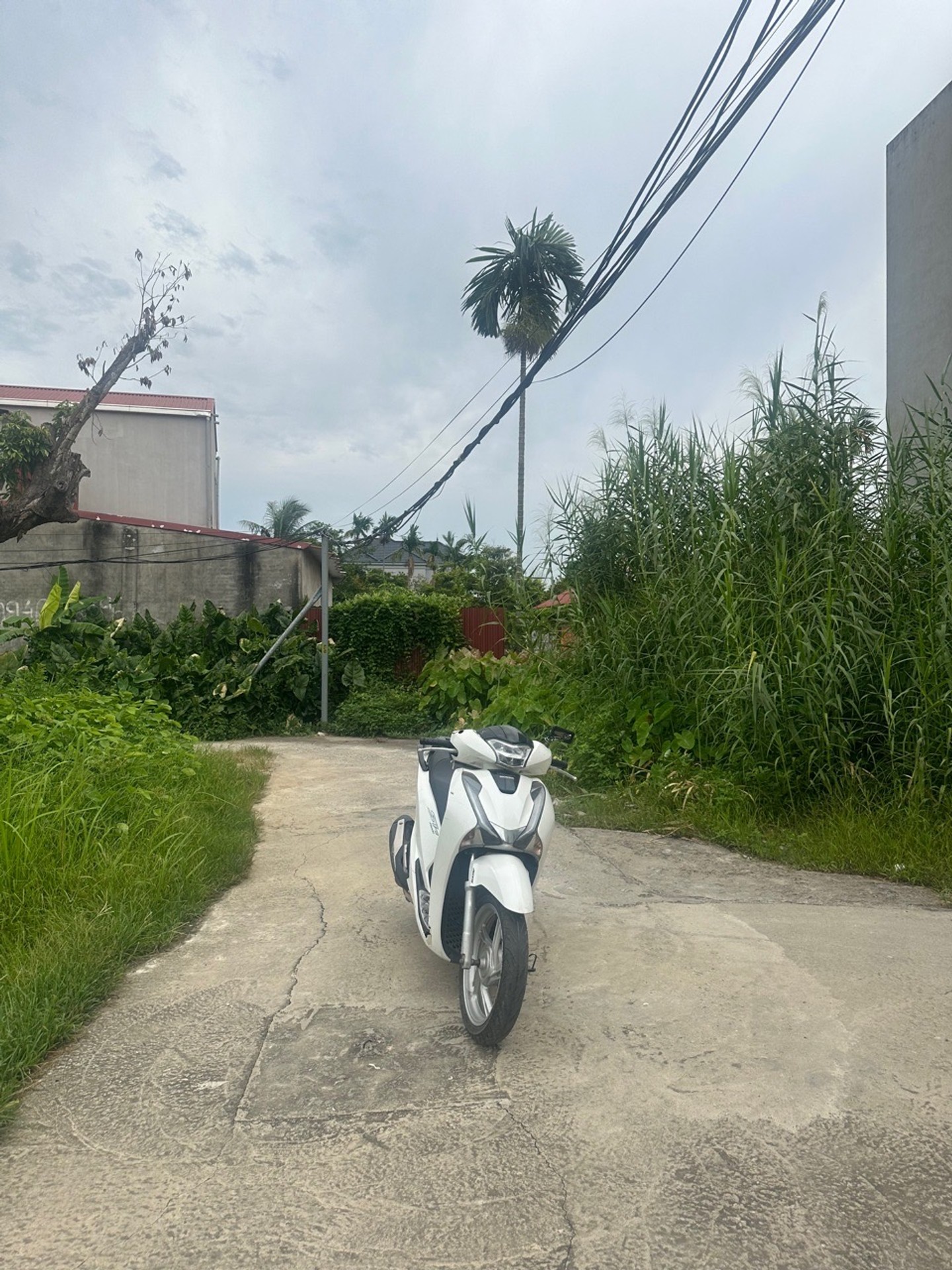 Lô đất đẹp tại trung tâm Phường An Dương, Đặng Cương với diện tích vừa phải