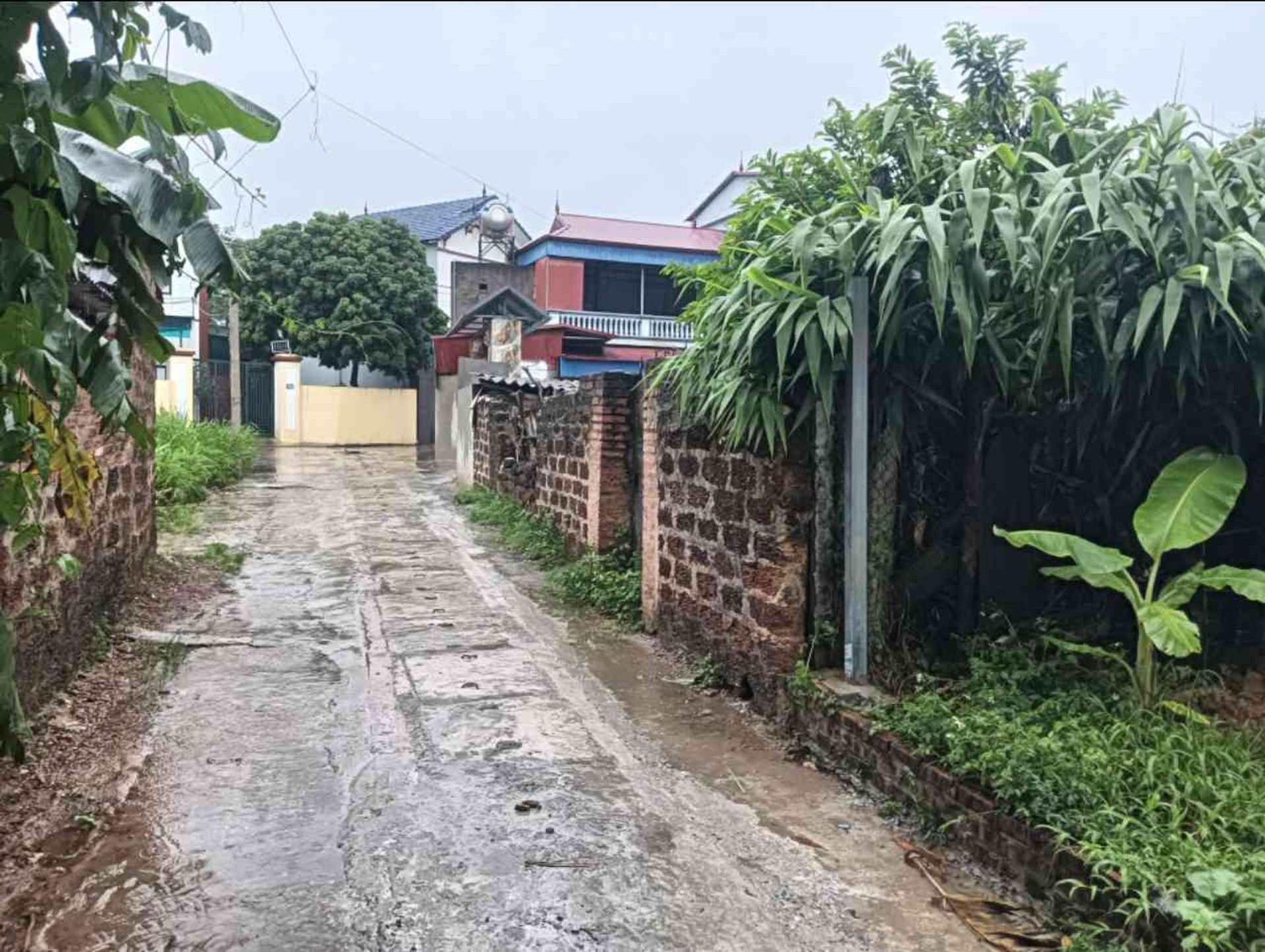 Trục chính kinh doanh chợ Thanh Trí- Minh Trí-DT100m2- Nhỉnh 2 Tỷ