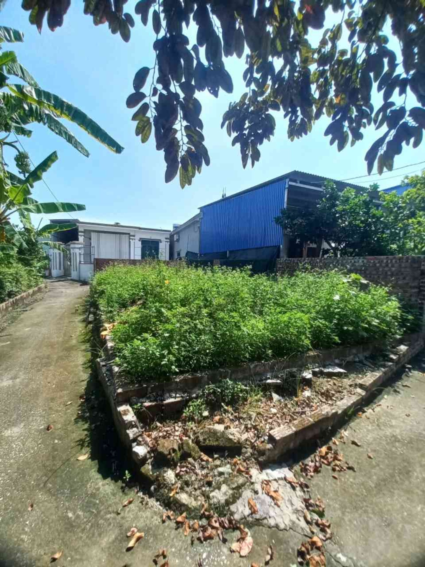 Đất nền 70 m2 mặt tiền rộng tại Hoàng Động, Thiên Hương, Hải Phòng