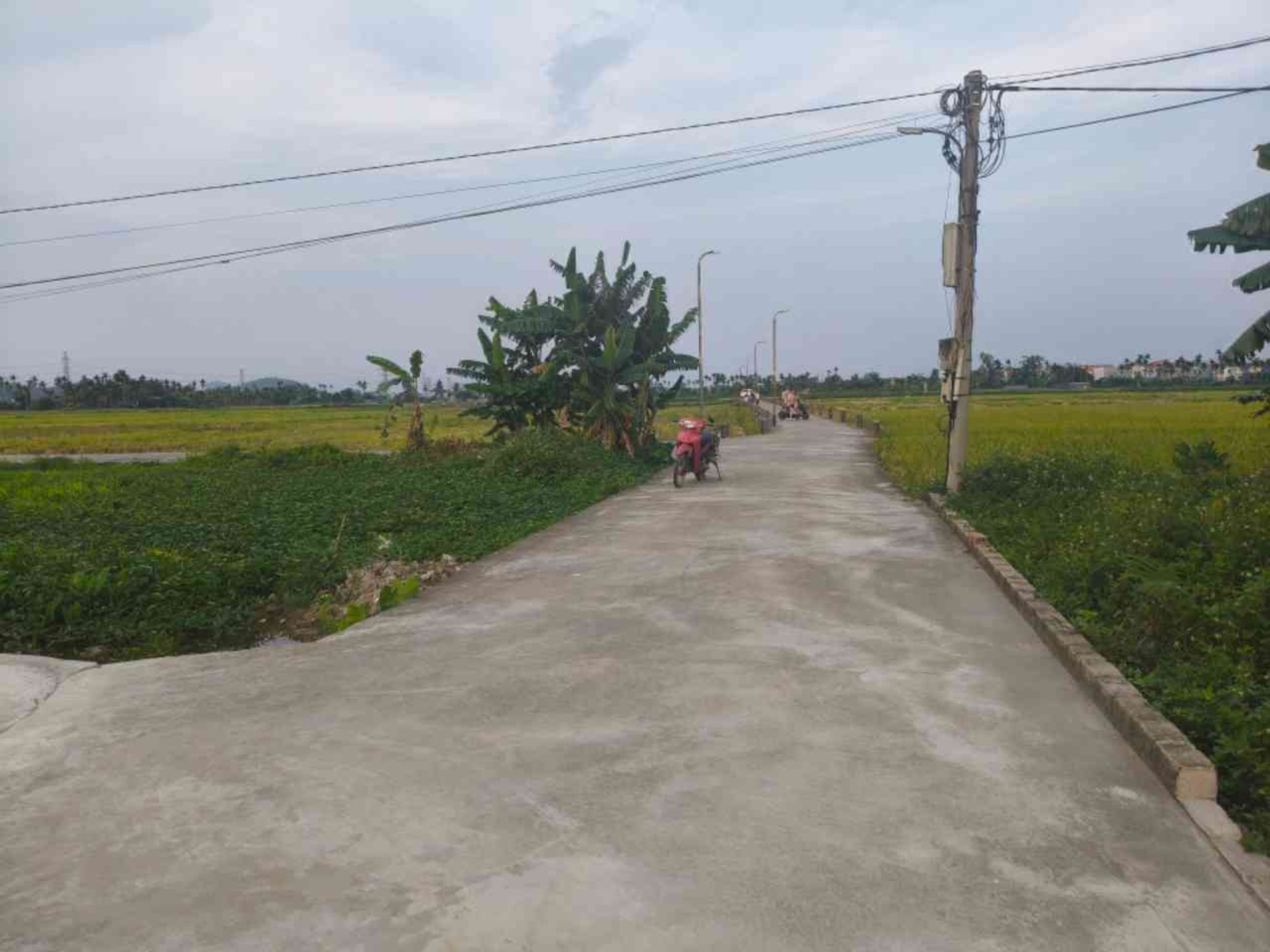 Bán đất lô góc 2 mặt thoáng tại phường Hòa Bình, Thủy Nguyên, Hải Phòng