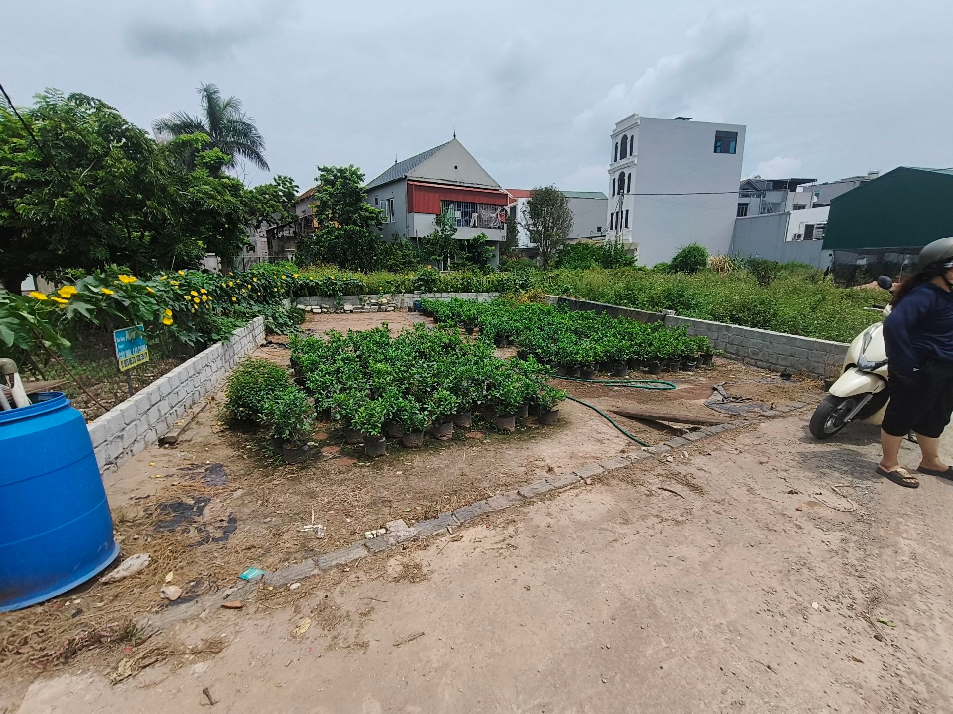 Bán đất thôn 7 Xuân Quan, Văn Giang, Hưng Yên - Đất kinh doanh, ô tô tải tránh, đầu tư tiềm năng