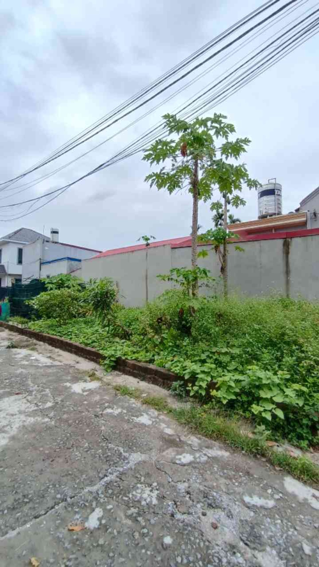Cơ Hội Sở Hữu Đất Vàng Gần Trung Tâm Hành Chính Mới Thủy Nguyên