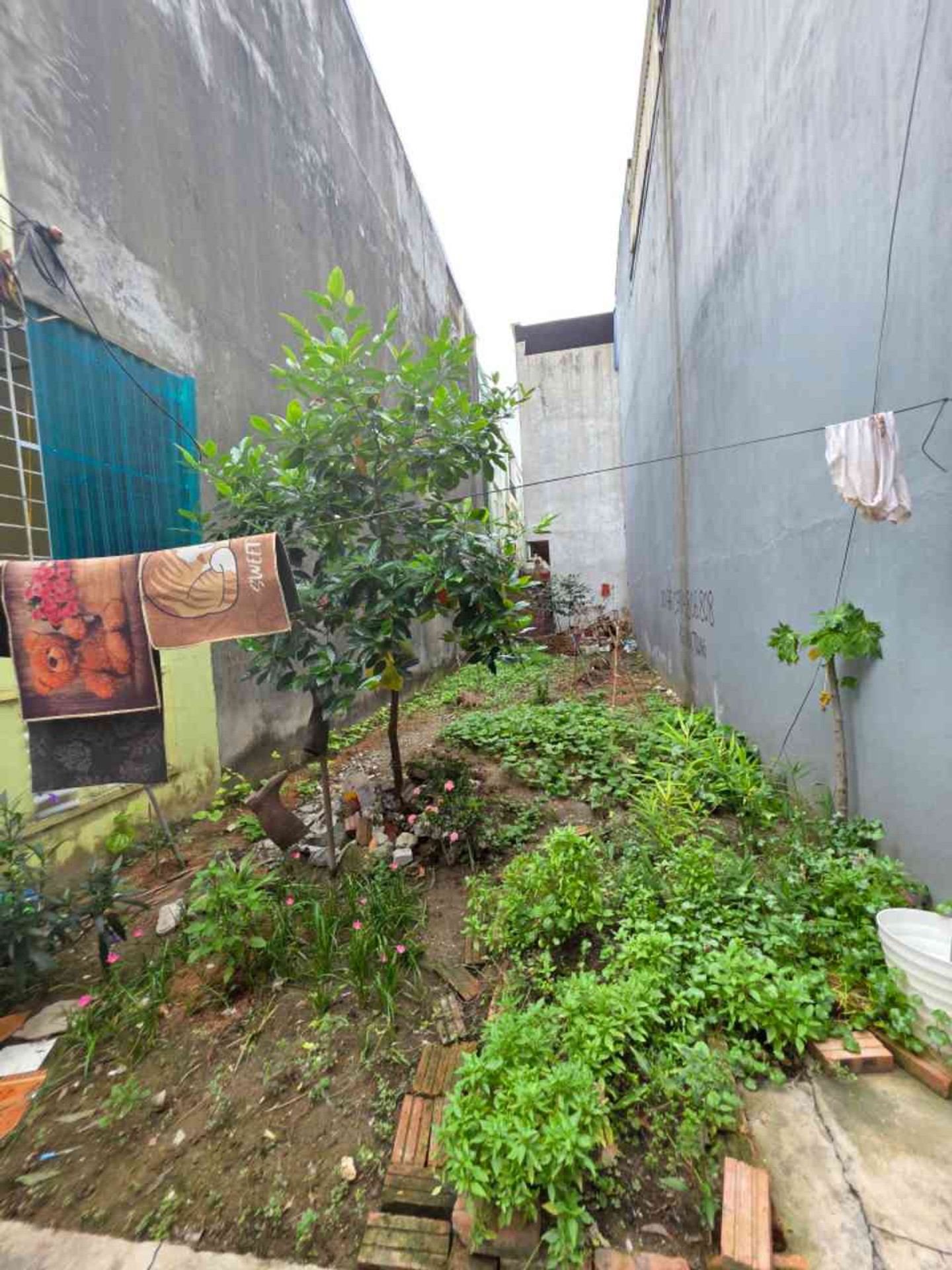 Lô đất xây dựng rộng 59,8m2 hướng Nam tại phường Đằng Hải