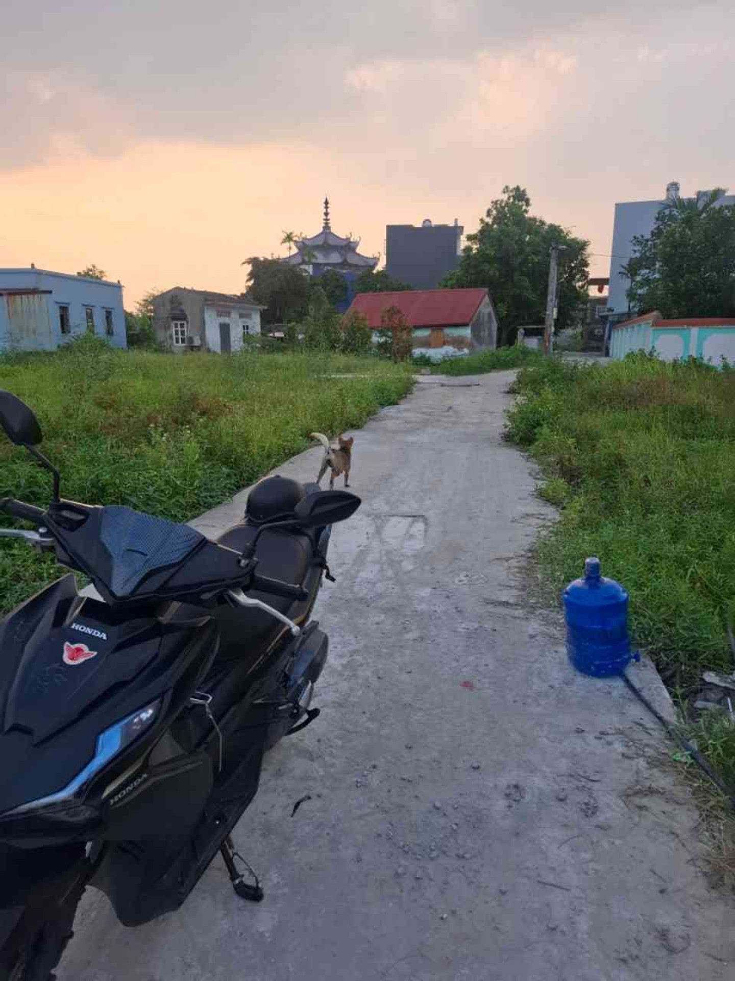 Đất nền vị trí vàng tại Tê Chử, An Dương cho nhà đầu tư và an cư