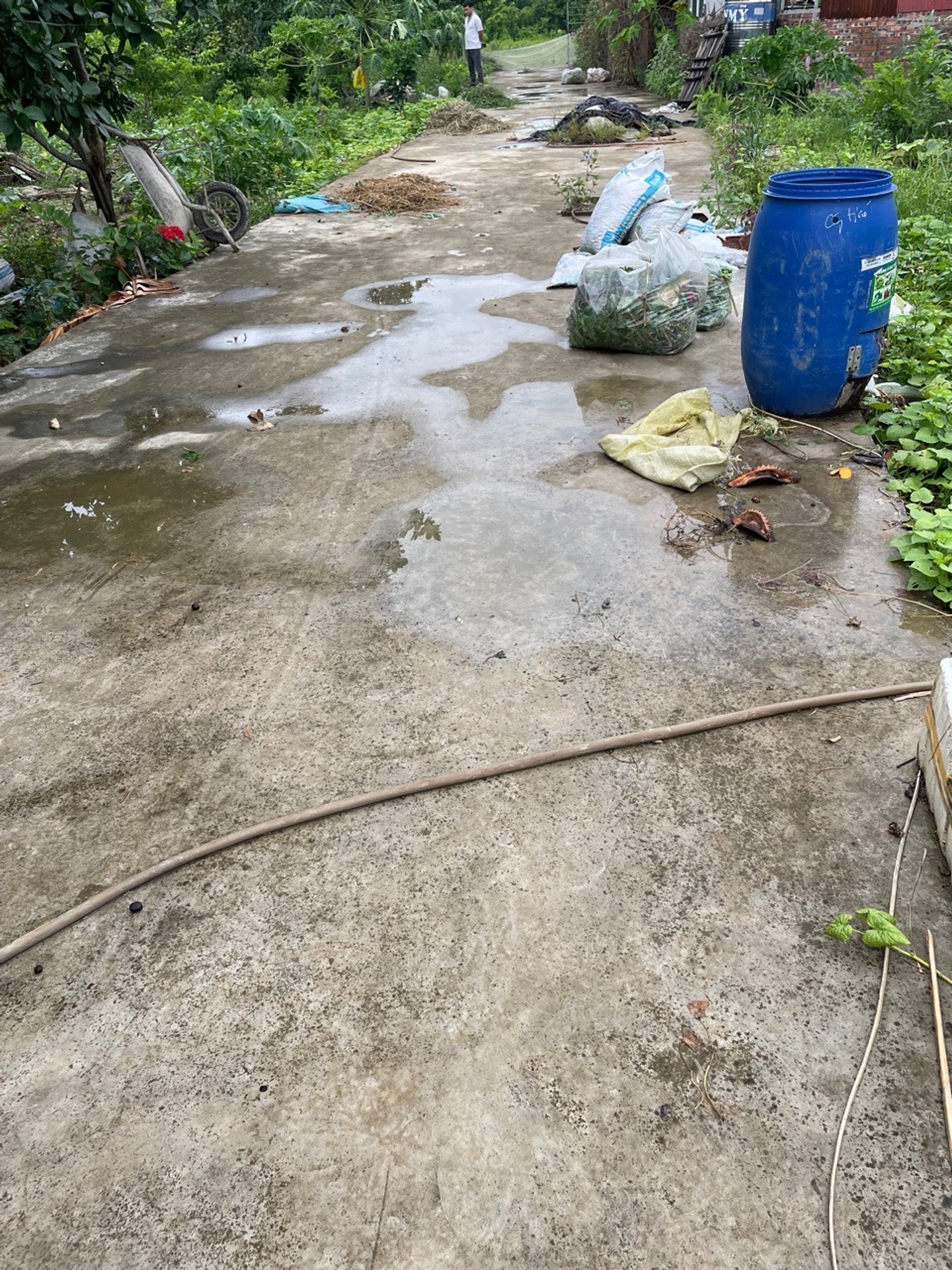 Bán đất thôn Hầu Lâm Động Thủy Nguyên diện tích 58,1m2 hướng Nam pháp lý rõ ràng