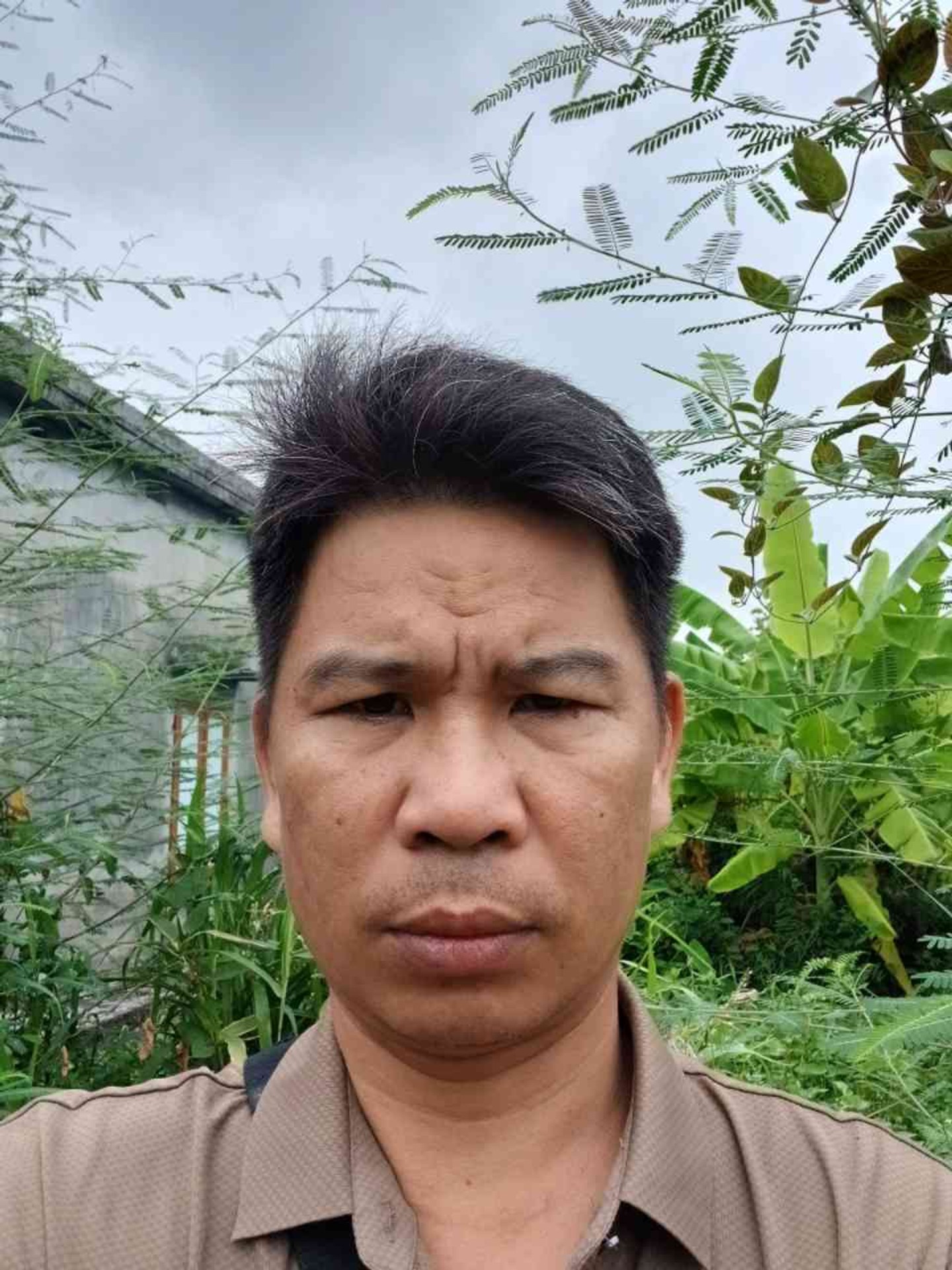 Đất nền yên tĩnh tại xã Hợp Thành, huyện Thủy Nguyên, Hải Phòng
