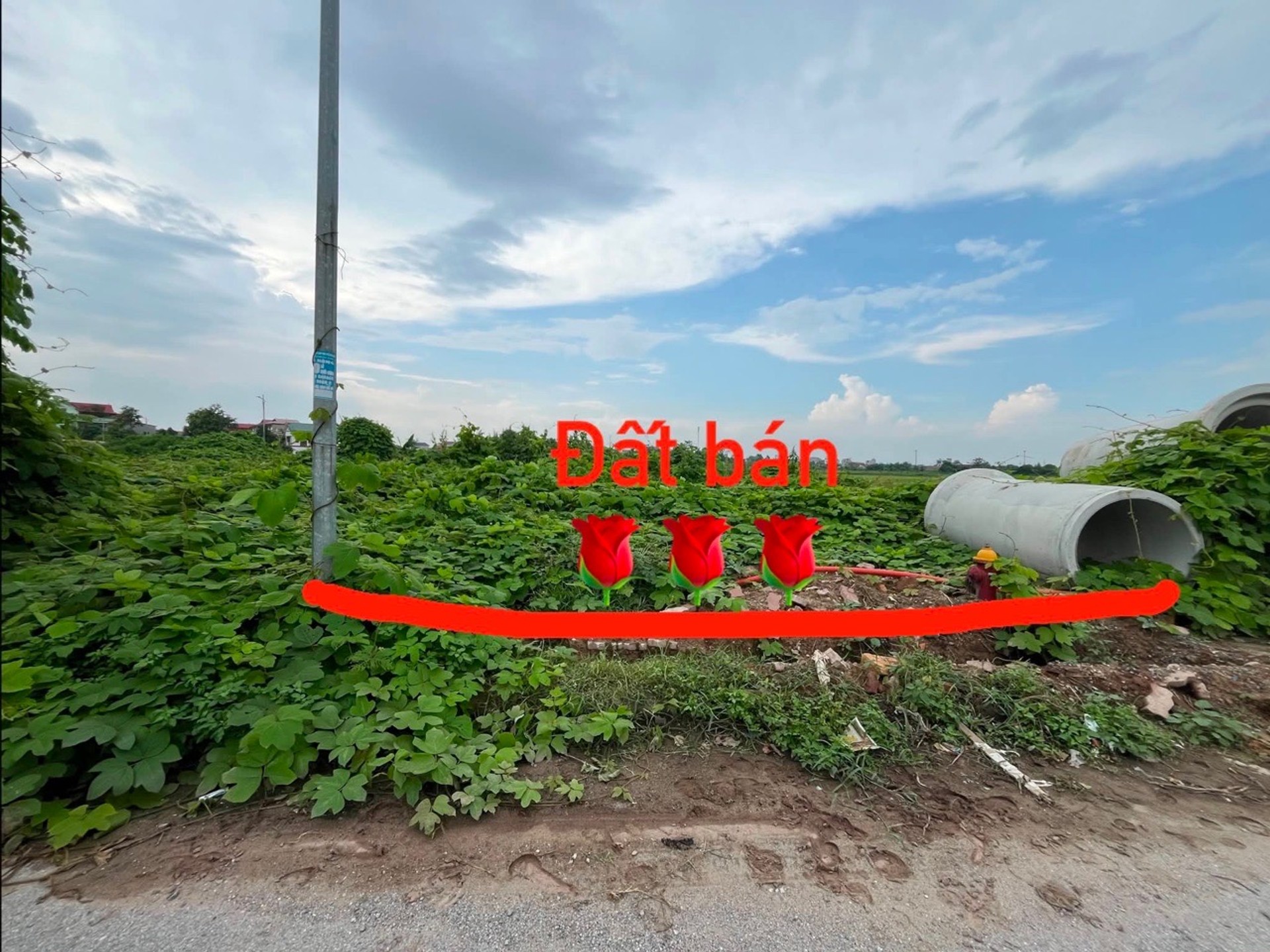 Bán đất 110m2 mặt tỉnh lộ 281 tại phường Ninh Xá, Bắc Ninh