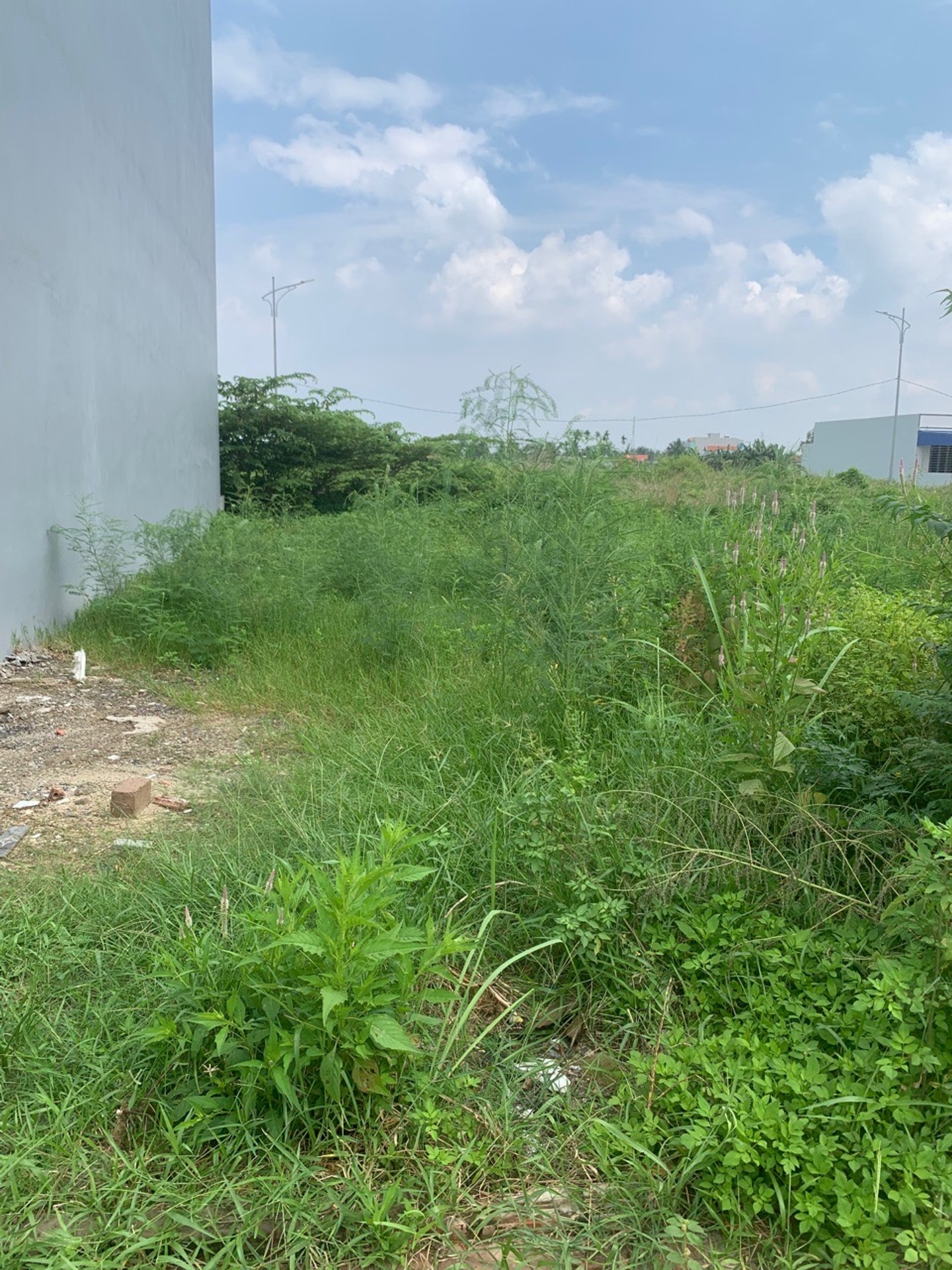 Bán đất thôn 5 Thủy Sơn, Thủy Nguyên giá tốt, diện tích 61m² hướng Đông Nam