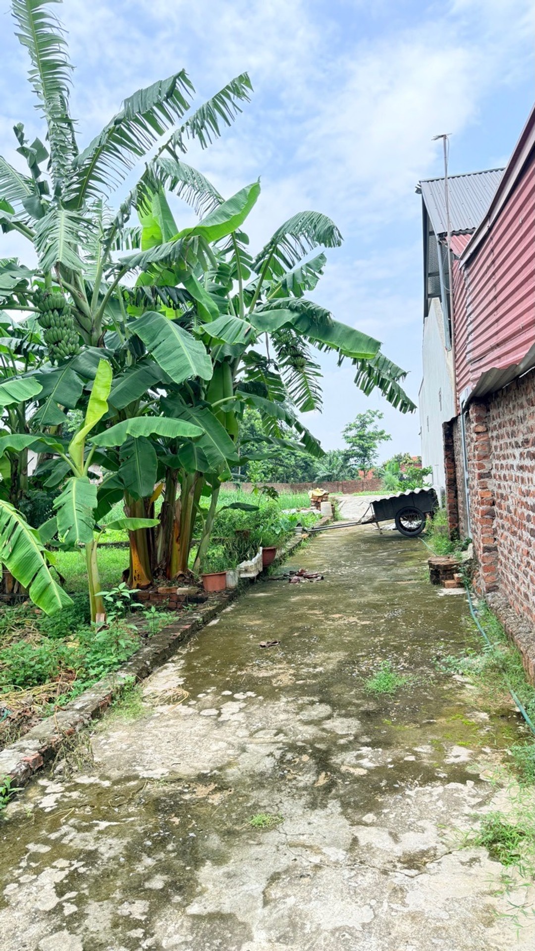 Mảnh Đất Vàng Trung Tâm Phù Linh - Ngõ Thông Ô Tô - Gần Đền Sóc - chỉ hơn 1 tỷ