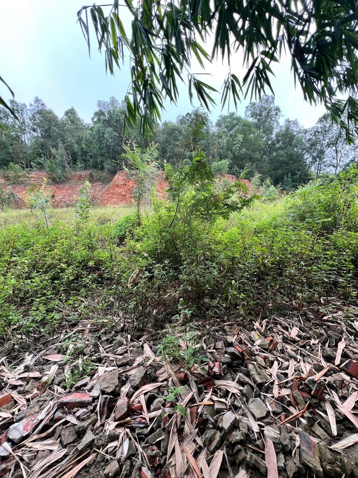 Cơ hội sở hữu đất phân lô mặt tiền rộng – xe ô tô đỗ cửa tại Phù Lãng Bắc Ninh