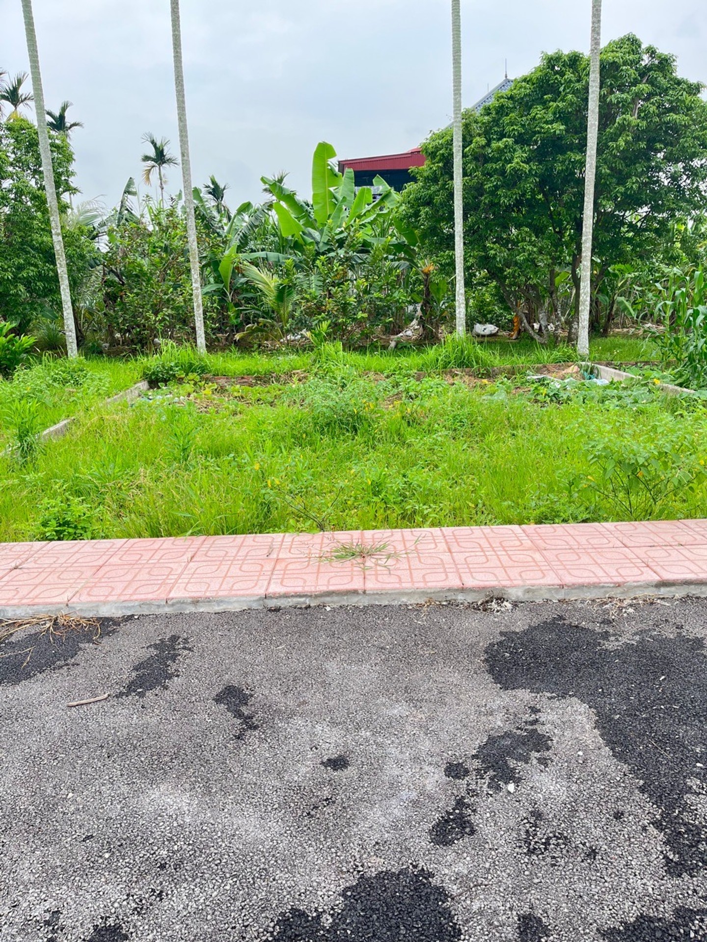 Cơ hội hiếm có đất Thổ cư sát KCN Tràng Duệ 3, giá đầu tư tuyệt vời