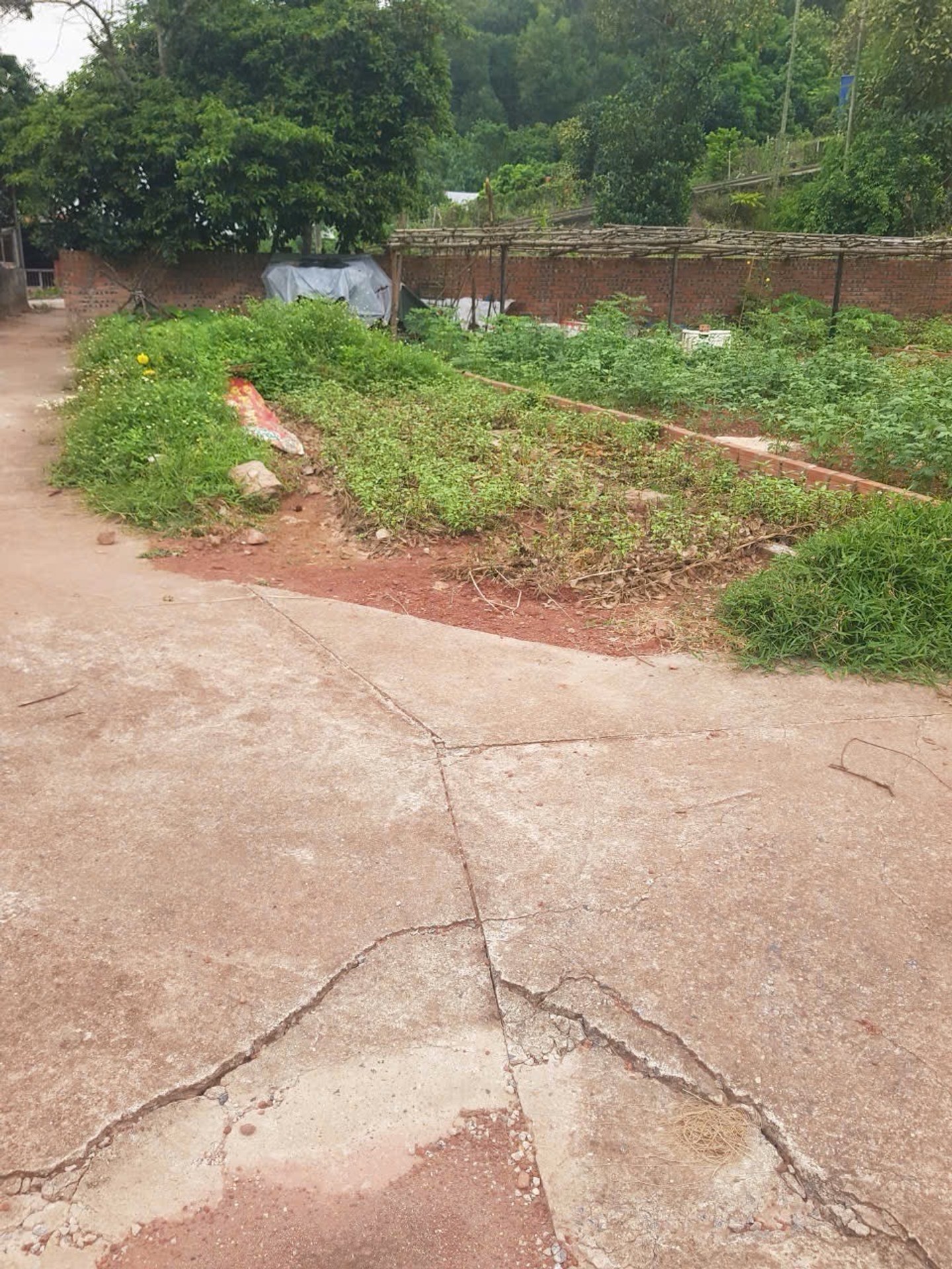 Bán đất thôn 5 Thủy Sơn, Thủy Nguyên diện tích 63.4m2 hướng Đông Nam pháp lý cơ sở