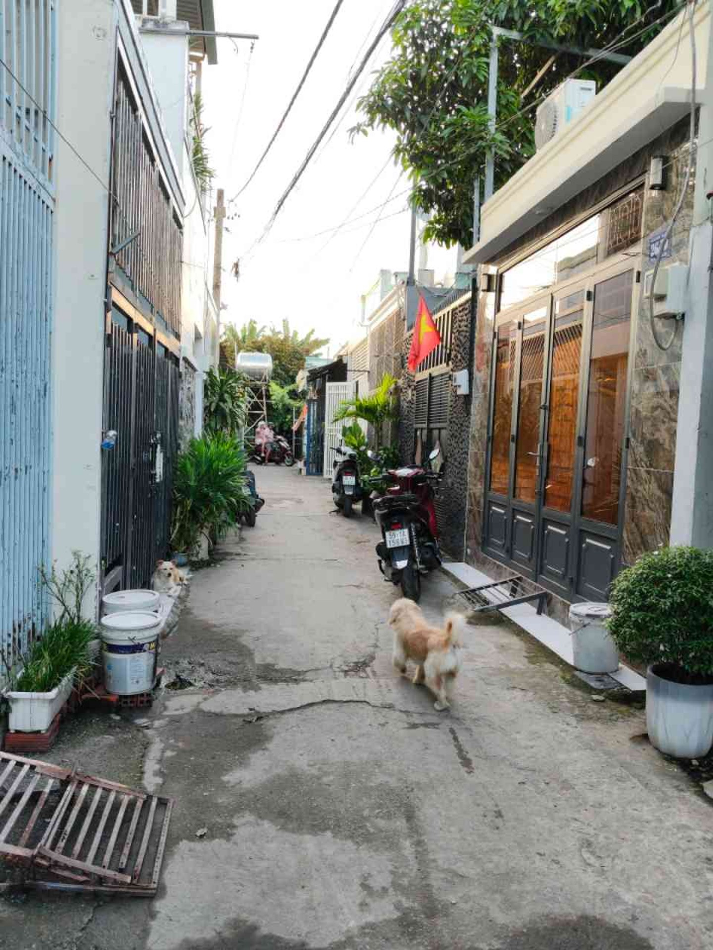 Bán nhà riêng chính chủ tại 1/ phạm thị Hy
Bà điểm