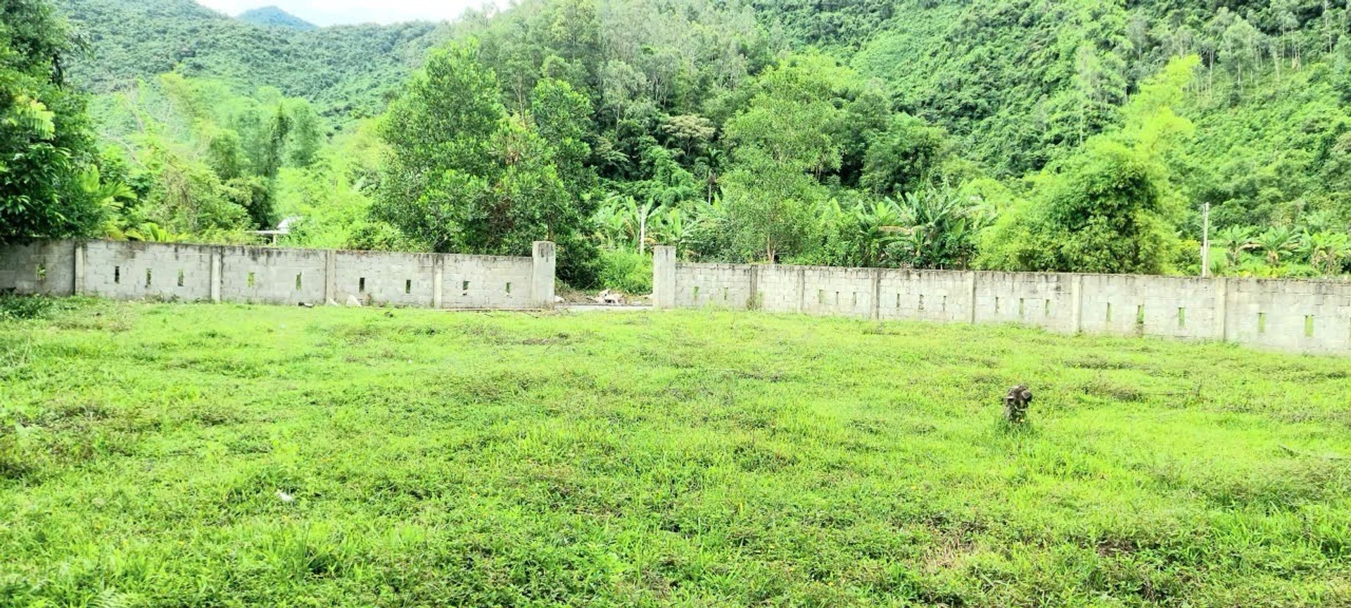 🌿 LÔ ĐẤT CHỮA LÀNH NGAY THUNG LŨNG FARM HÒA BẮC – CHÂN NÚI, SUỐI NHỎ, SÔNG CU ĐÊ TRONG LÀNH 🌿