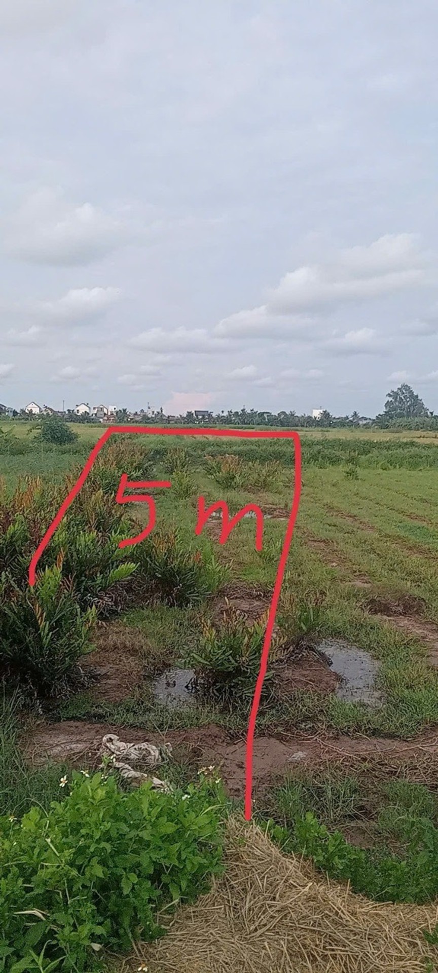 Bán đất thửa 314 xã Xuân Hưng, Tiên Lãng, diện tích 170m², giá 1,8 tỷ đồng